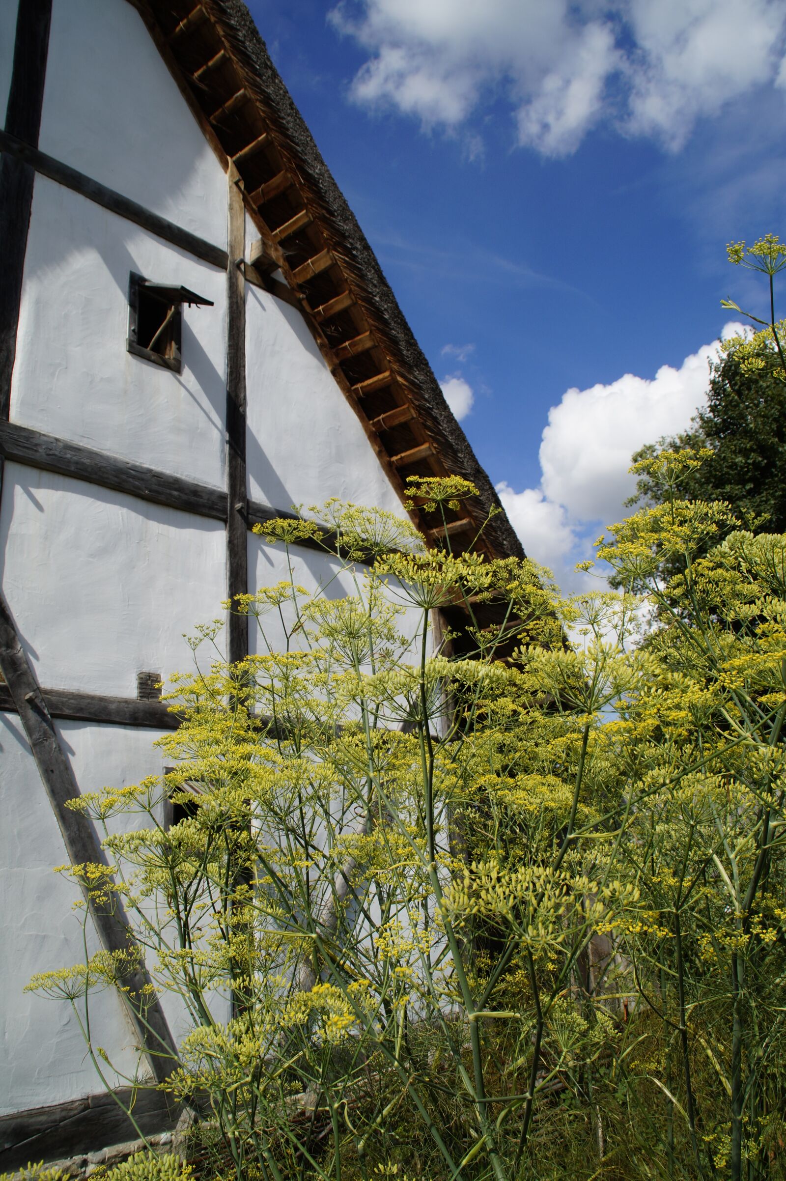 Sony SLT-A58 sample photo. Bach ritterburg, knight's castle photography