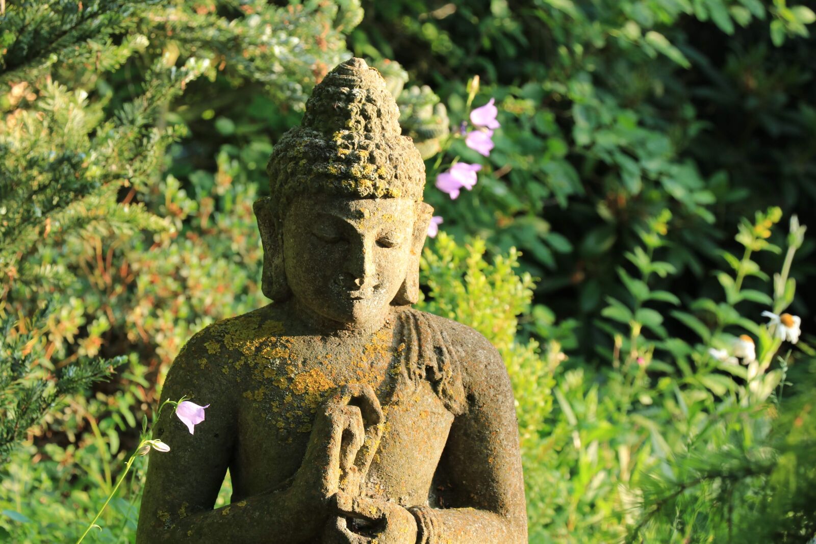 Canon EF-S 18-135mm F3.5-5.6 IS USM sample photo. Buddha, garden, nature photography