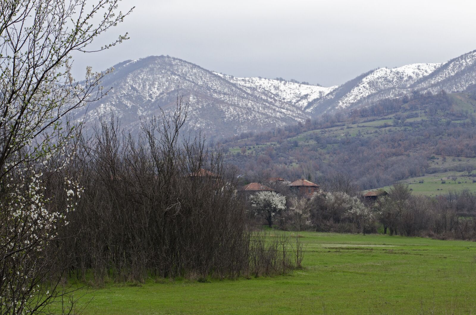 Nikon D5100 sample photo. Snow, meadow, village photography