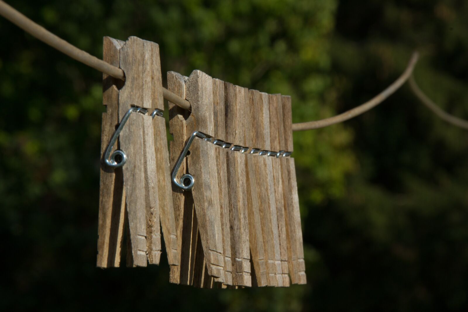 Canon EOS 550D (EOS Rebel T2i / EOS Kiss X4) sample photo. Clothes pins, clothes line photography