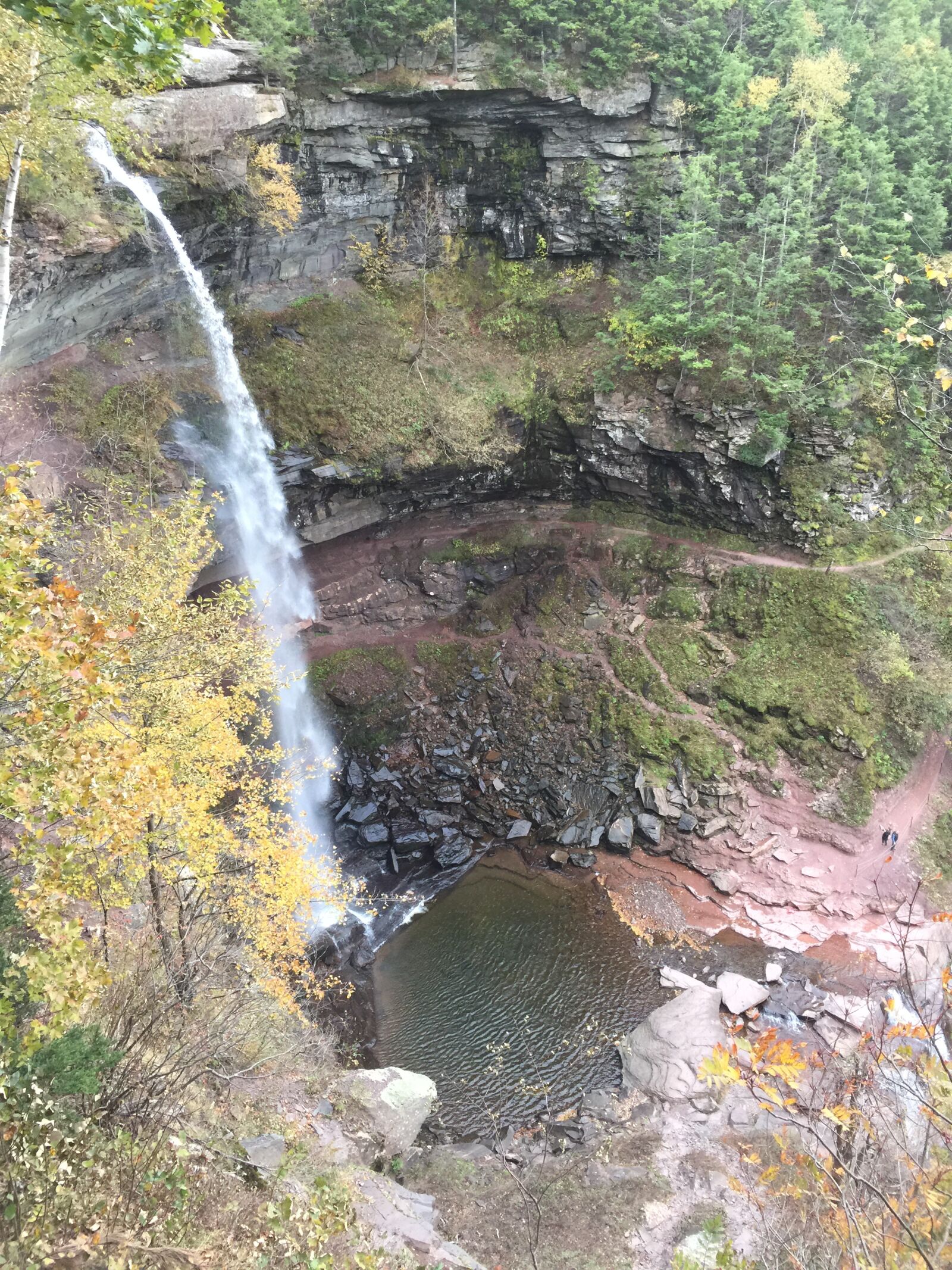 Apple iPhone 6 Plus + iPhone 6 Plus back camera 4.15mm f/2.2 sample photo. Waterfall, kaaterskill wild forest photography