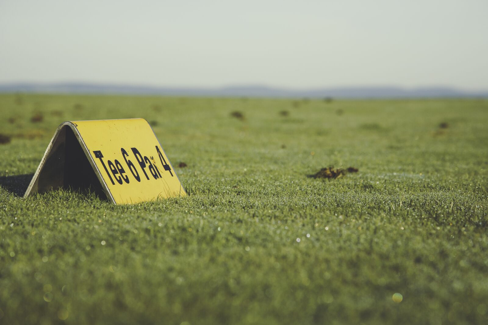 Canon EOS 5D sample photo. Golf, golf ball, golfer photography