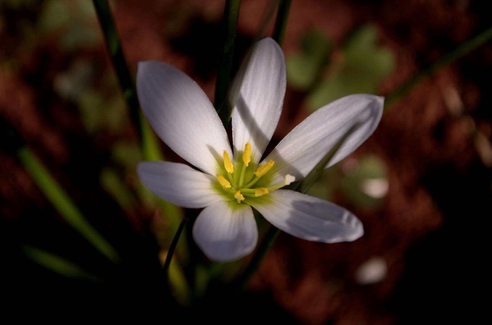 Nikon D5100 sample photo