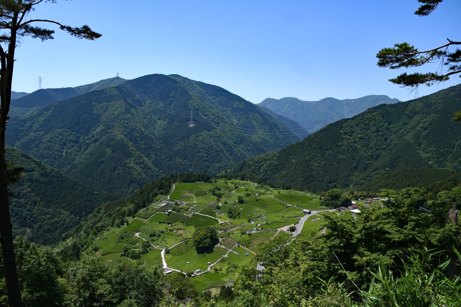 Nikon D500 sample photo. Heavenly tea plantations, gifu photography