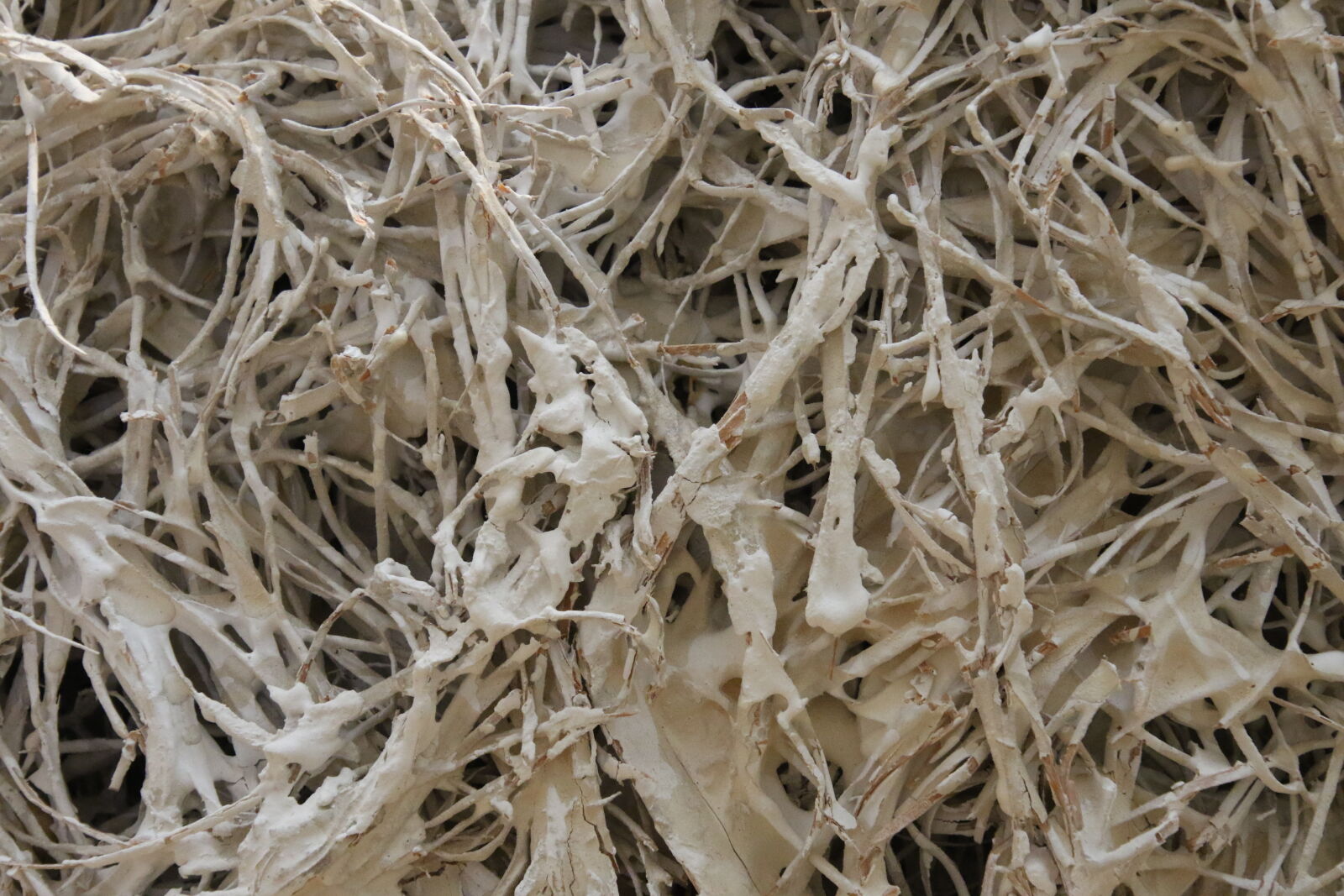Canon EOS 7D Mark II sample photo. Background, glue, mess, paper photography
