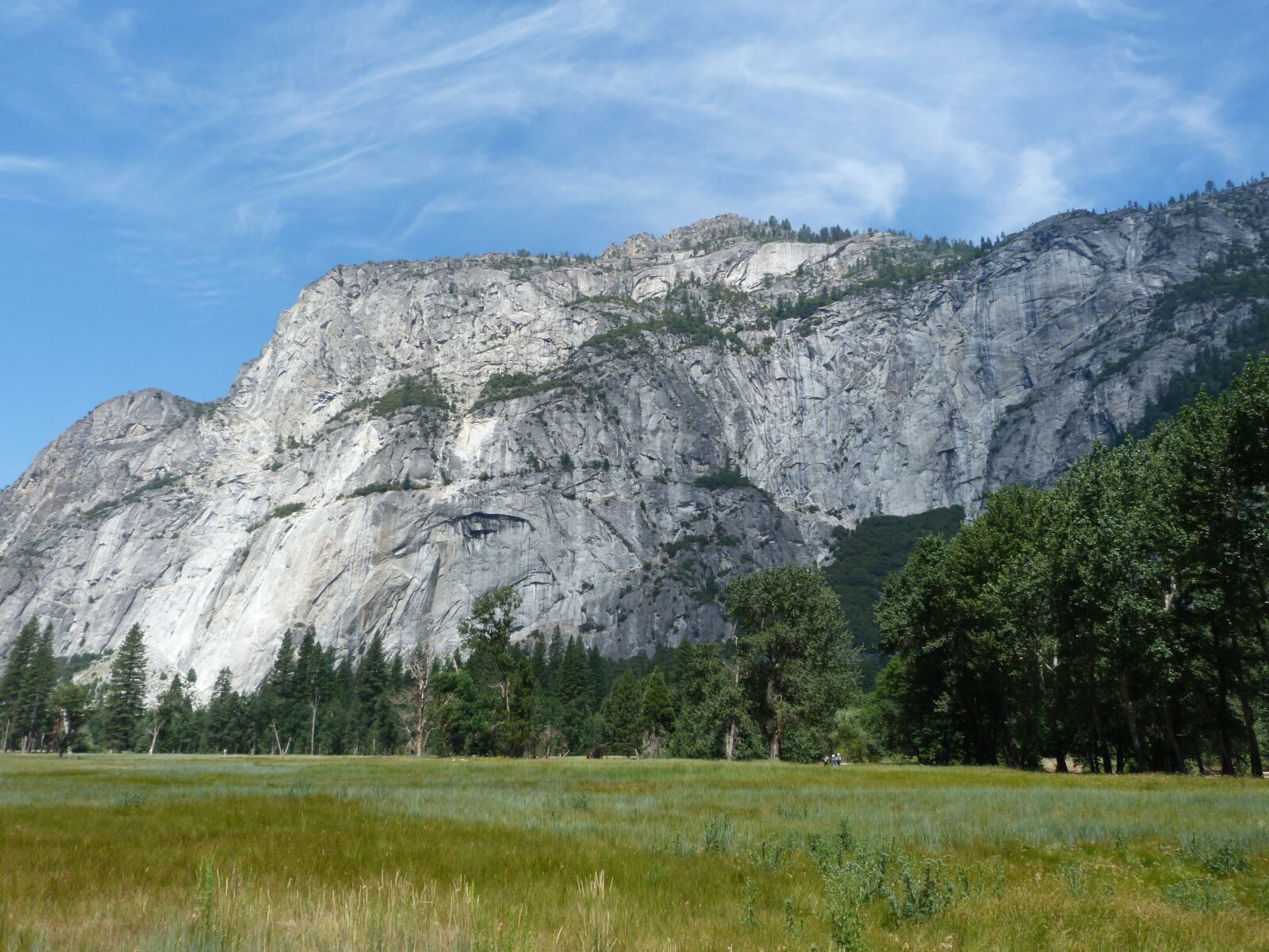 Panasonic Lumix DMC-FZ40 (Lumix DMC-FZ45) sample photo. Usa, yosemite, park photography