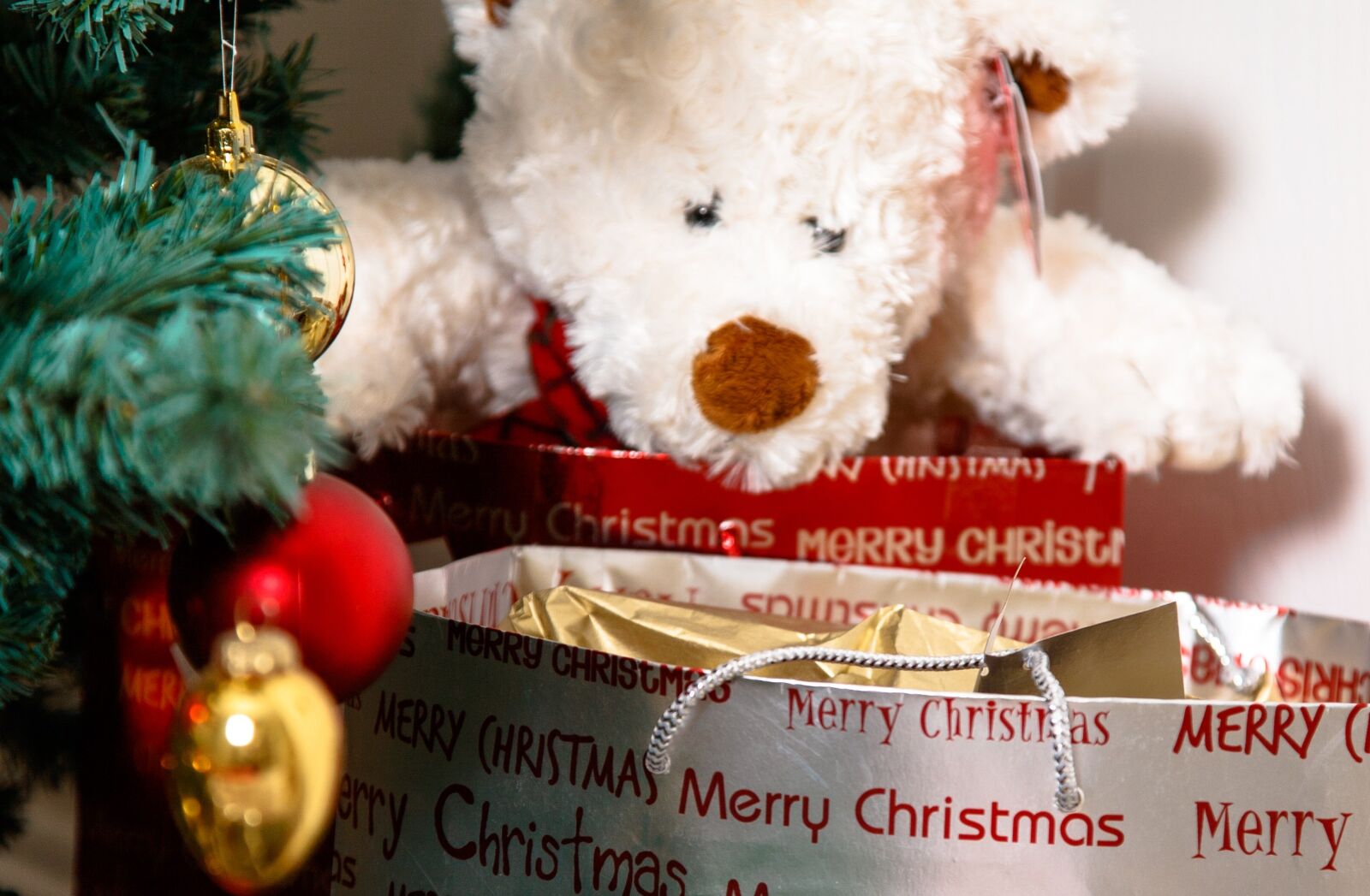 Canon EOS 5D sample photo. Christmas, tree, presents photography