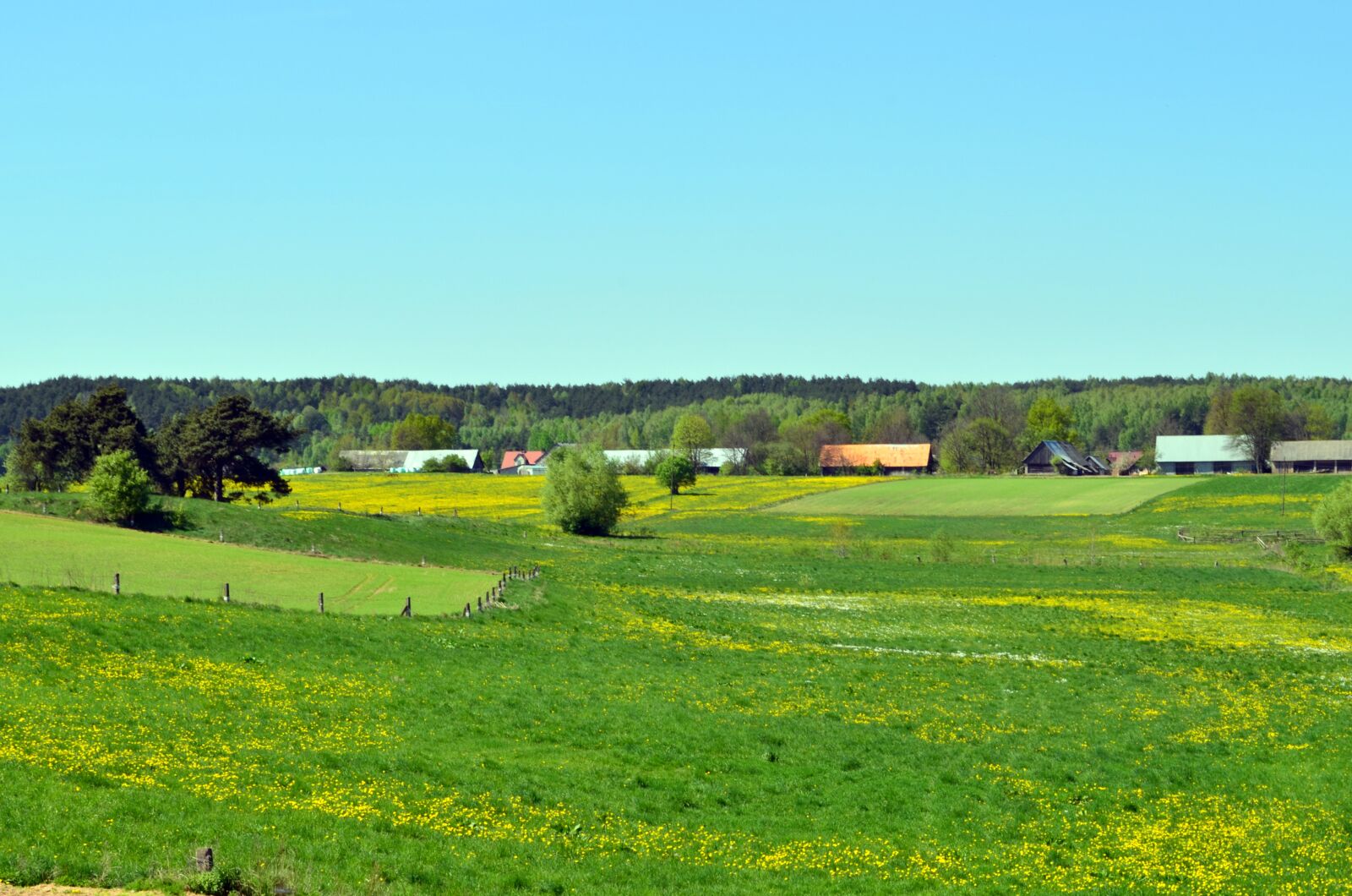 Nikon D5100 sample photo. Village, poland, landscape photography