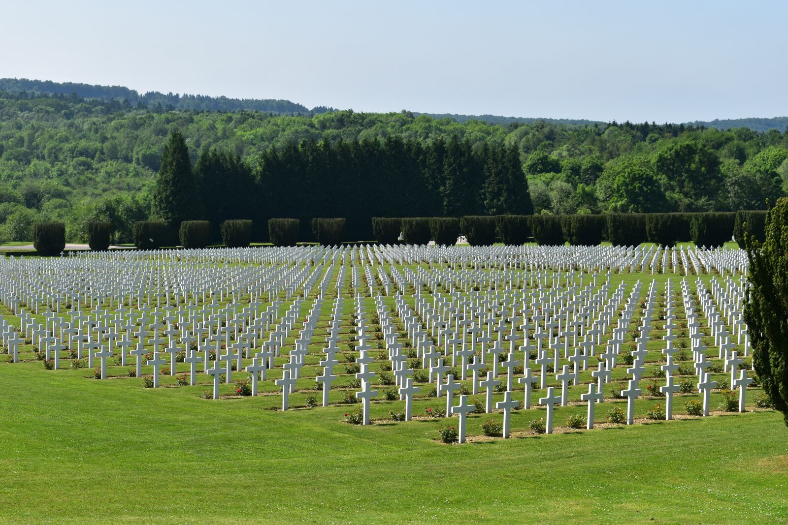 Nikon D5500 sample photo. Cemetery, graves, falls photography