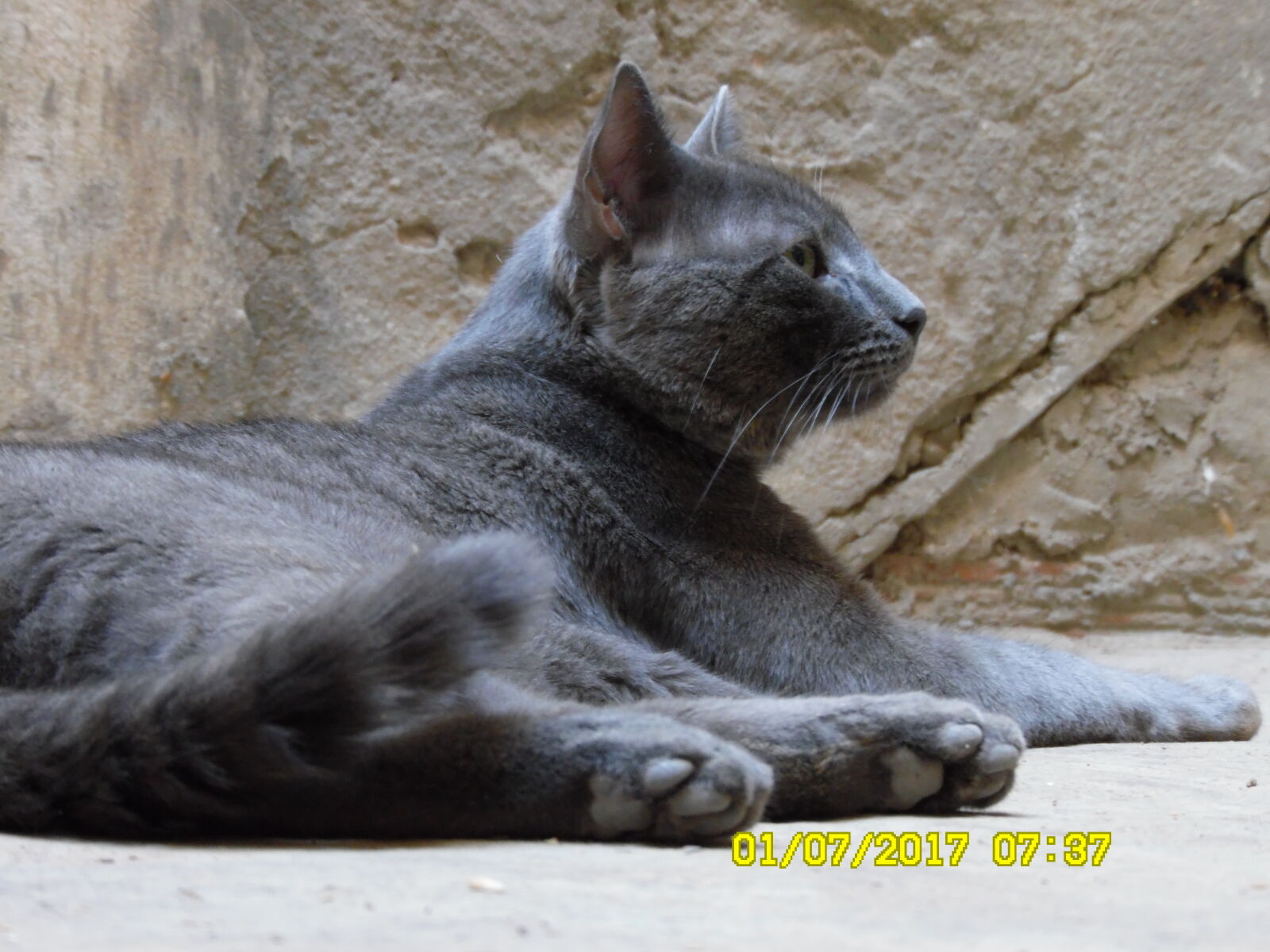Samsung WB1100F/WB1101F/WB1102F sample photo
