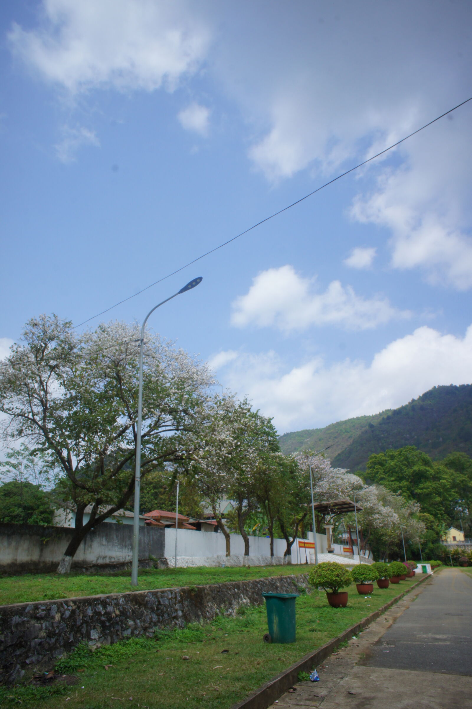 Sony Alpha NEX-3 sample photo