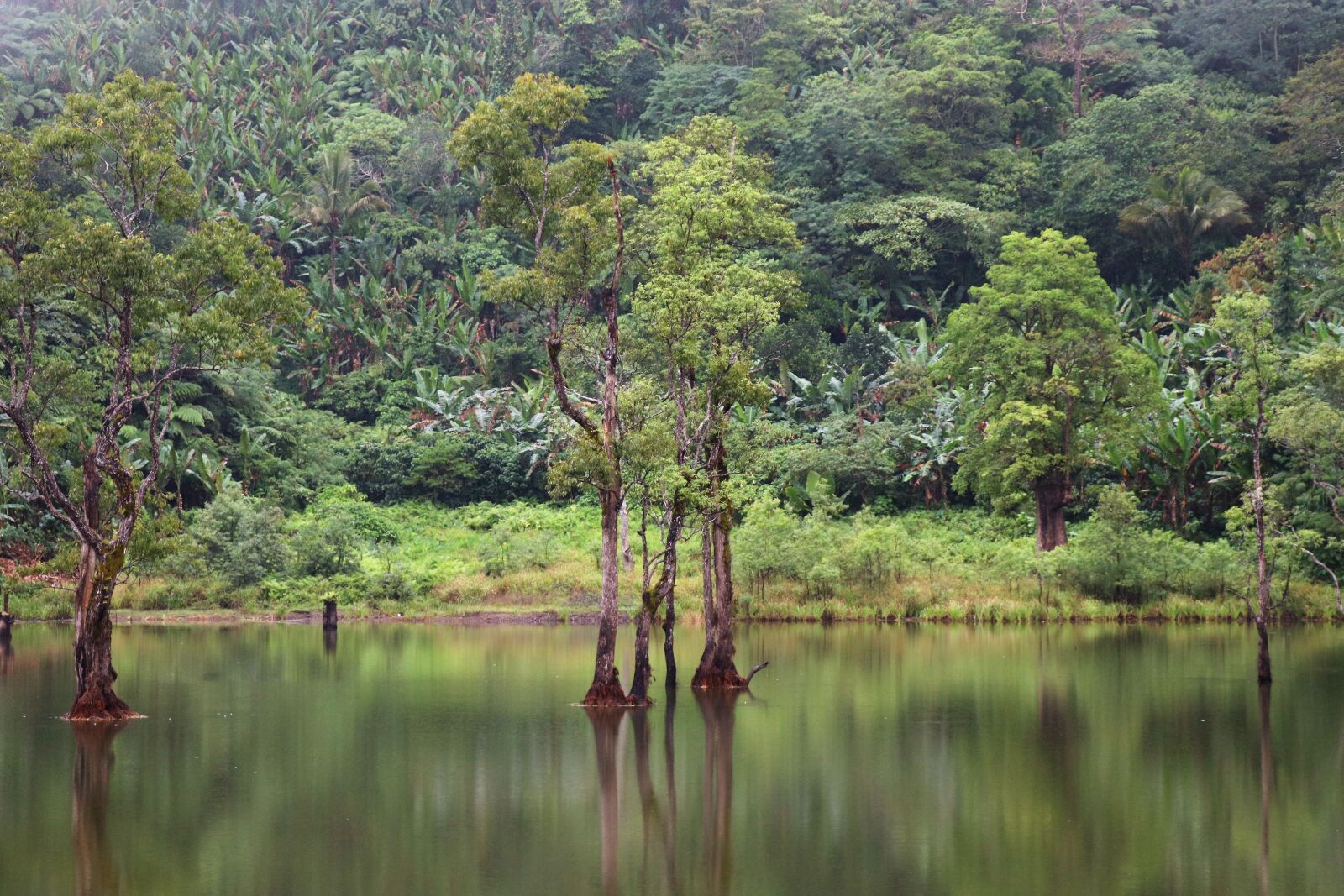 Canon EOS 77D (EOS 9000D / EOS 770D) sample photo. Landscape jungle, vacation, travel photography
