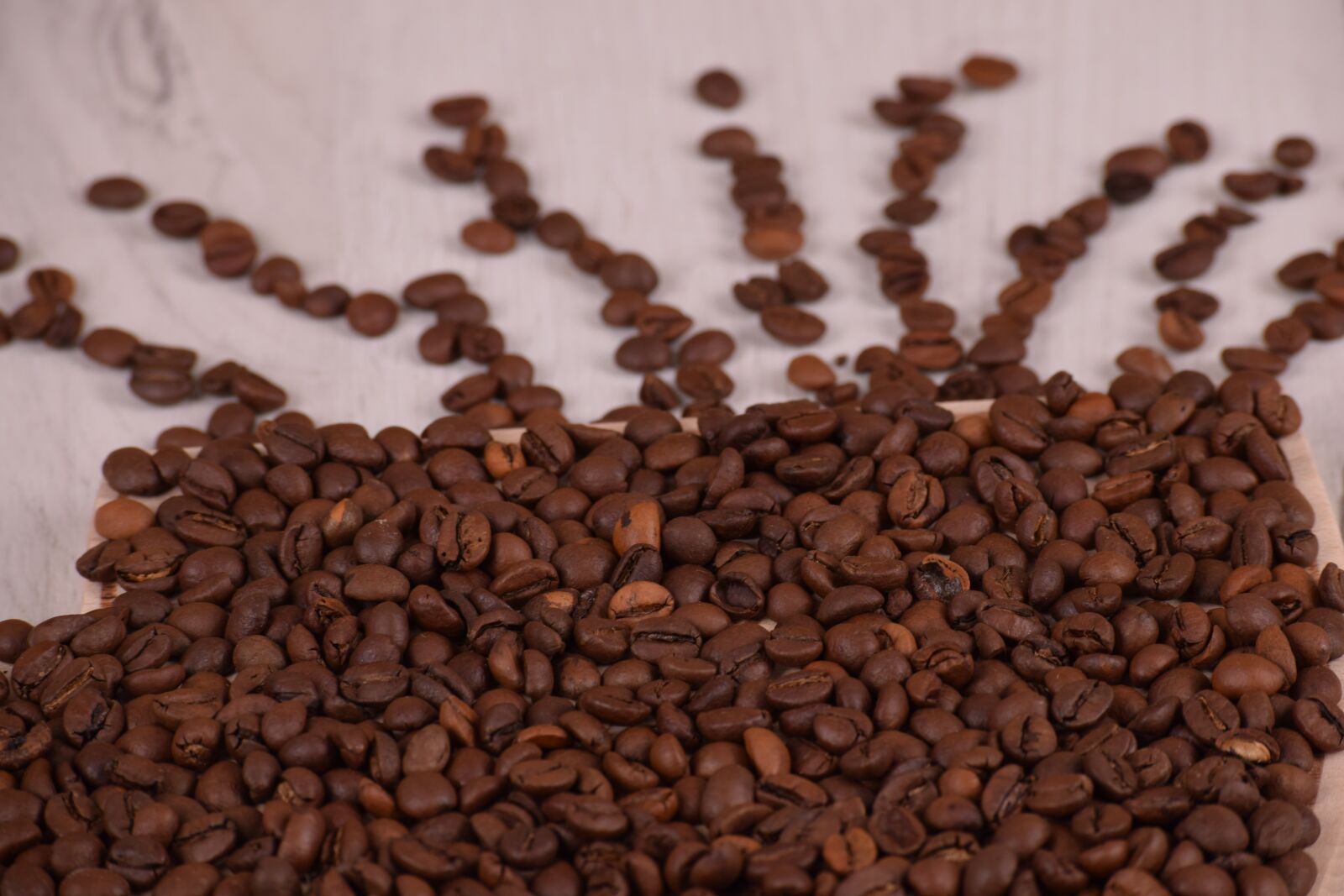 Nikon D3300 sample photo. Coffee, caffeine, seed photography