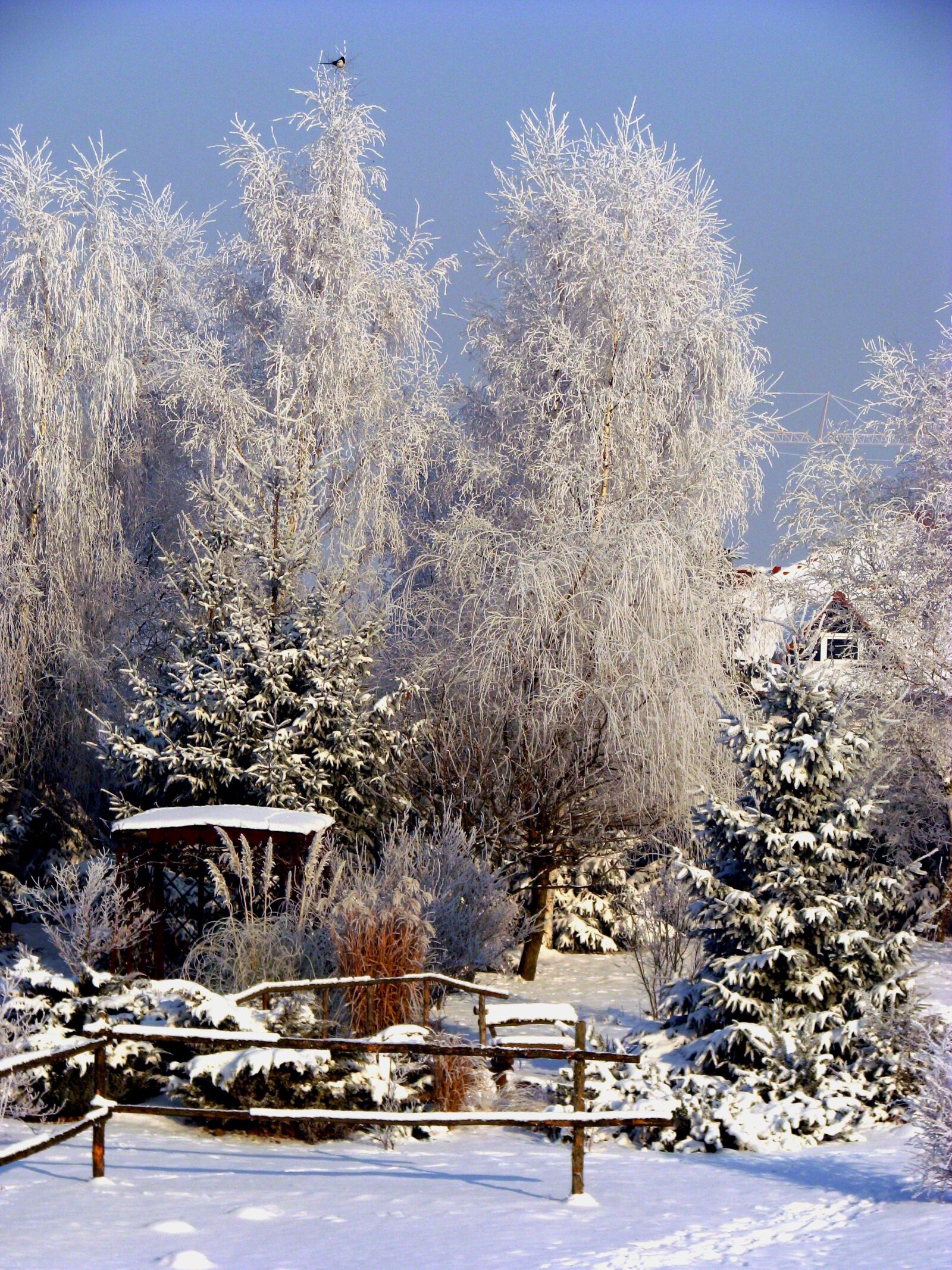 Canon POWERSHOT S5 IS sample photo. Winter, village, garden terrace photography