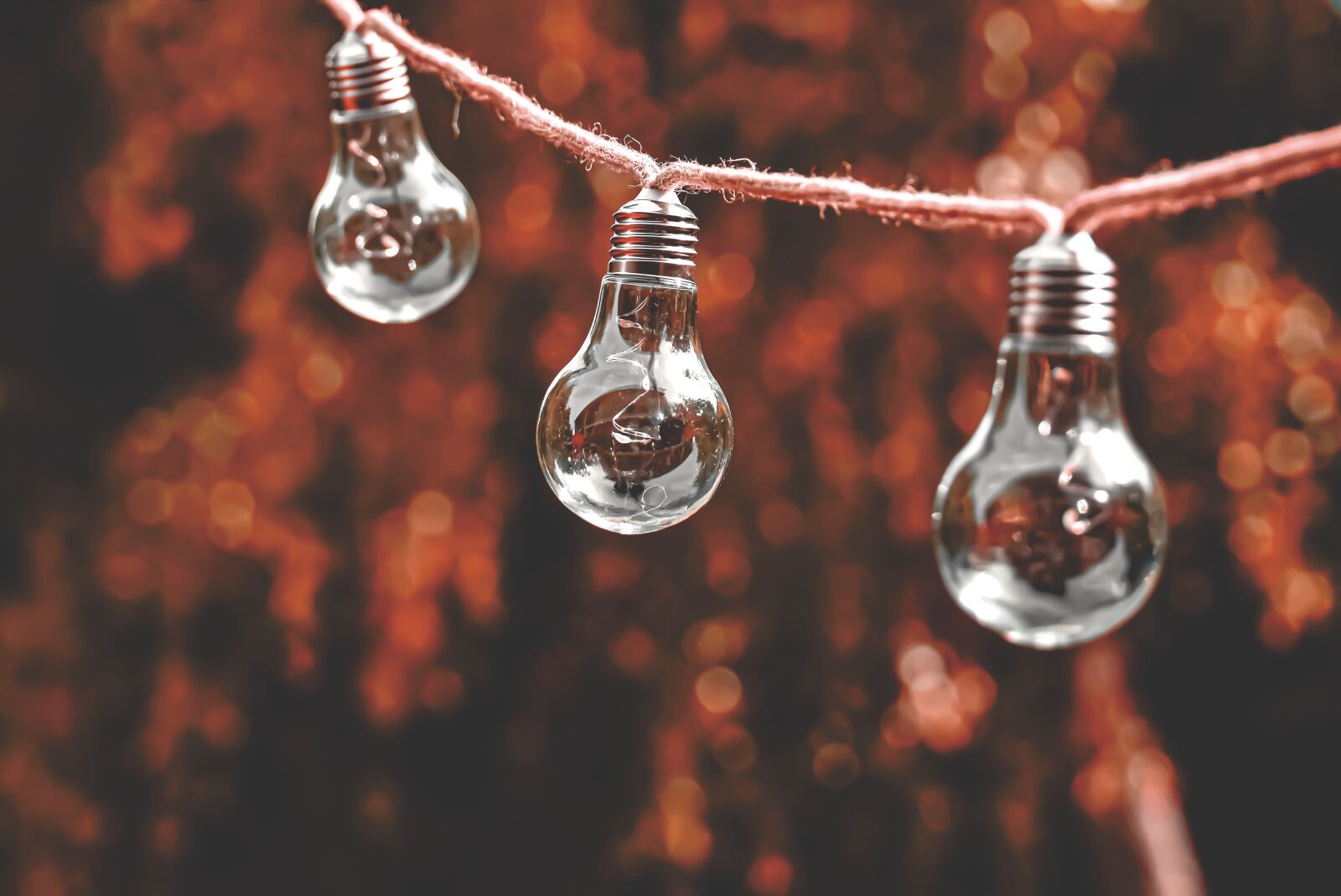 Nikon D7200 sample photo. Light bulb, energy, nature photography