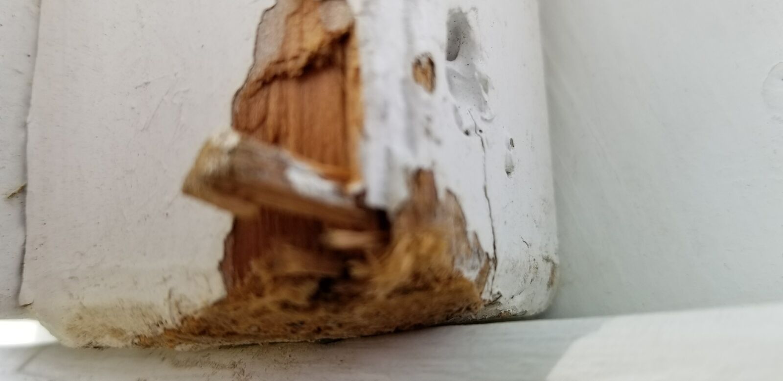 Samsung Galaxy S8 sample photo