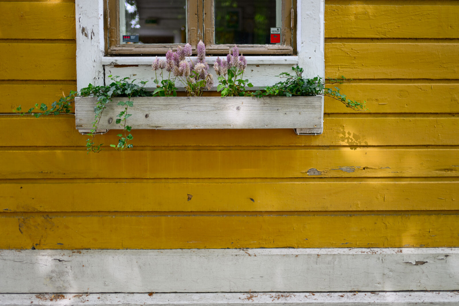 Nikon Nikkor Z 35mm F1.4 sample photo. Old house flower bed photography