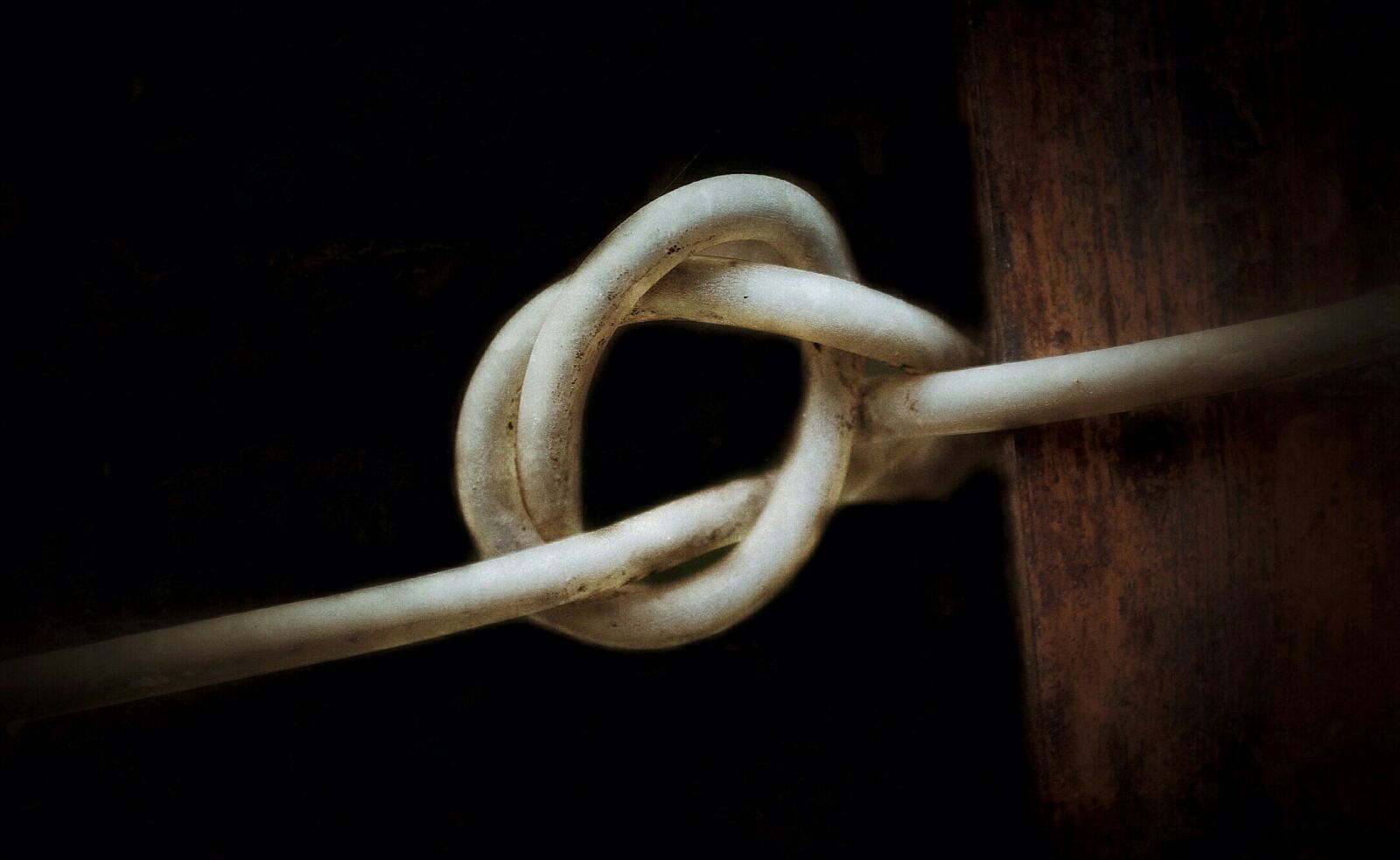 Canon EOS 550D (EOS Rebel T2i / EOS Kiss X4) sample photo. Rope, plot, node photography