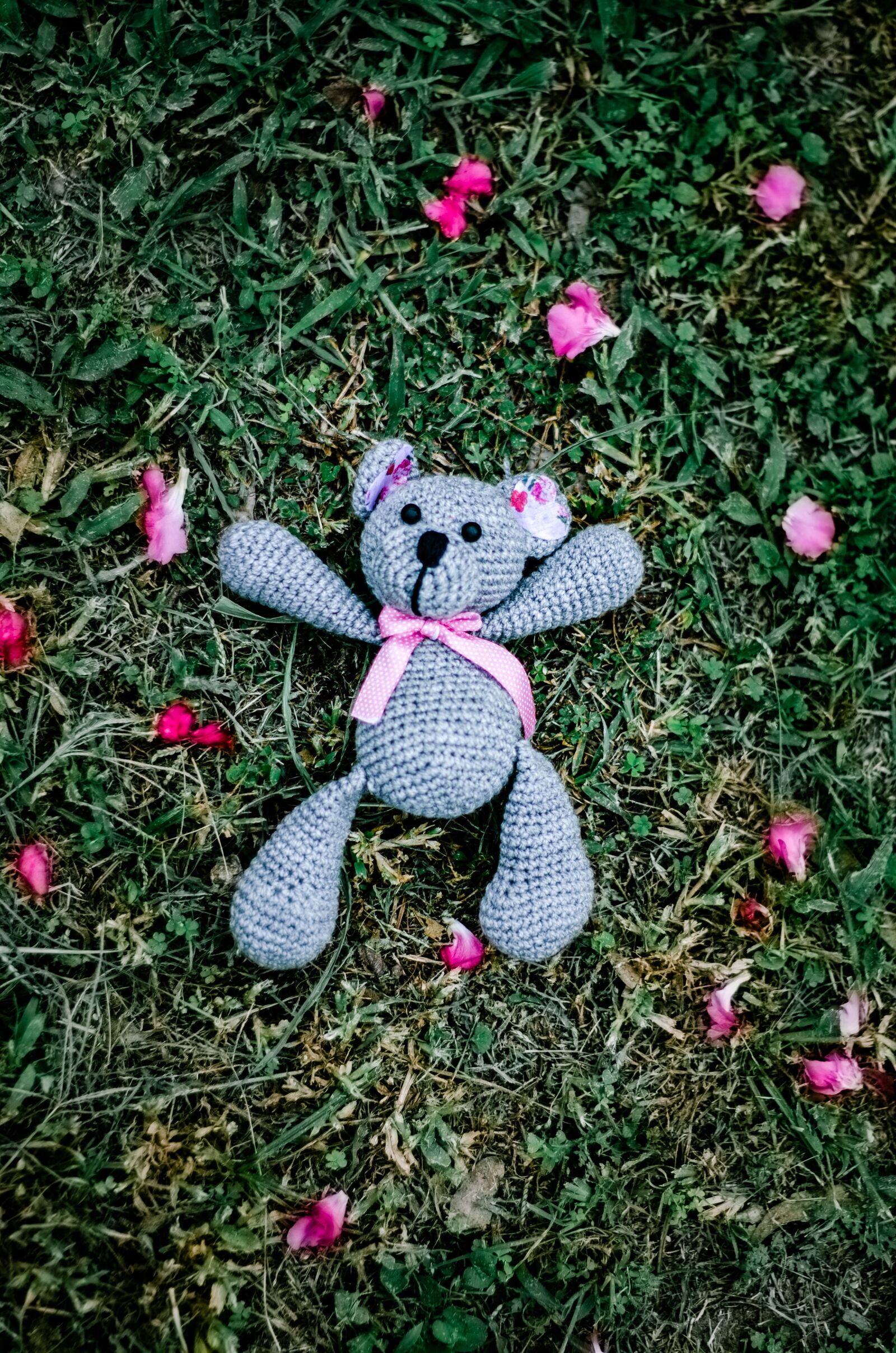 Nikon D7000 sample photo. Bear, hippie, petal photography