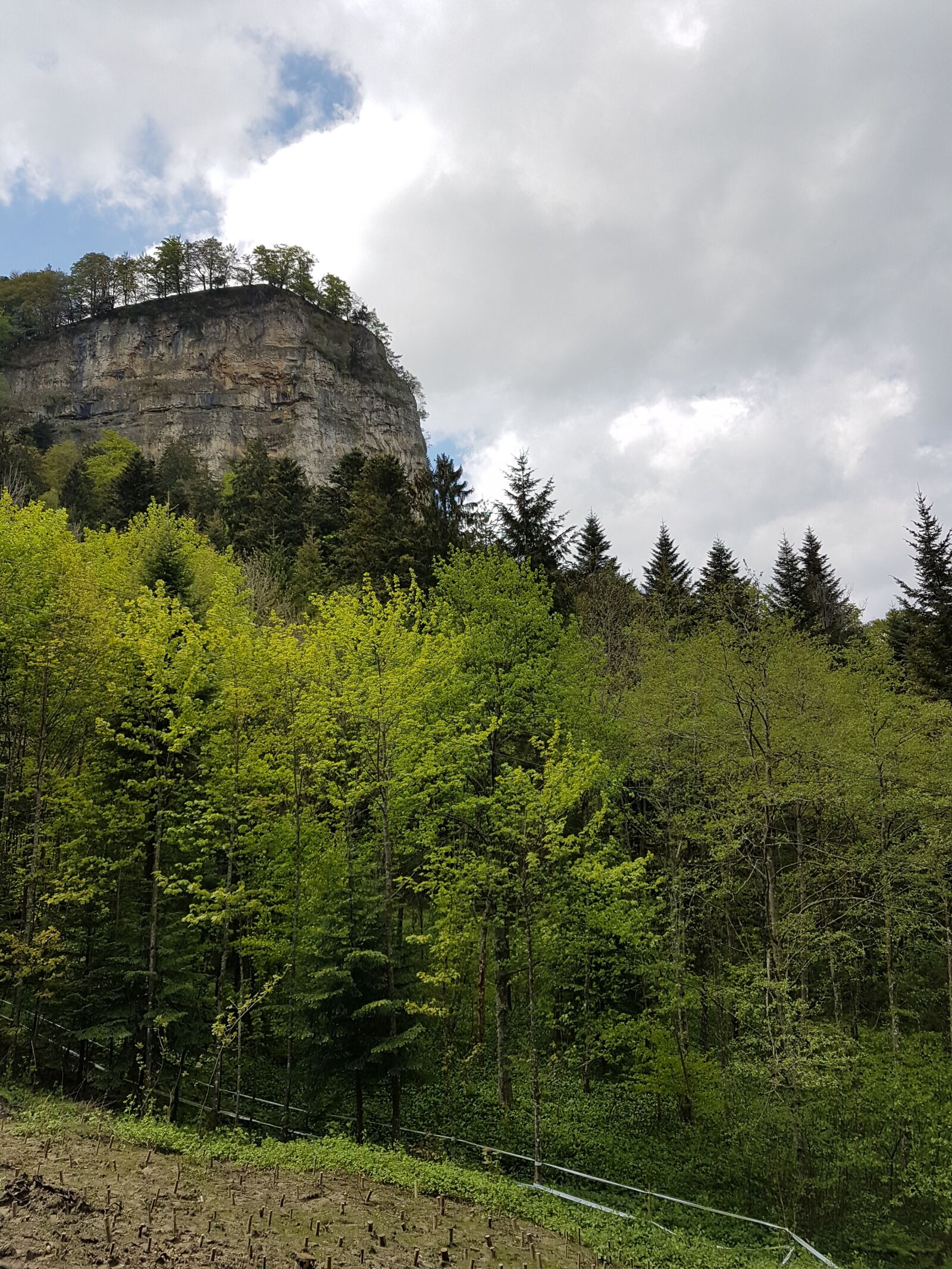 Samsung Galaxy S7 Edge sample photo. Switzerland, basel-land, eptingen photography