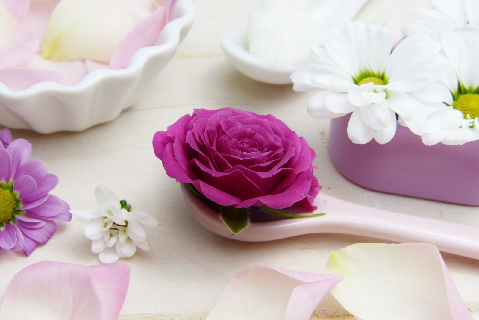 Panasonic Lumix DMC-FZ150 sample photo. Rose, pink, spoon photography