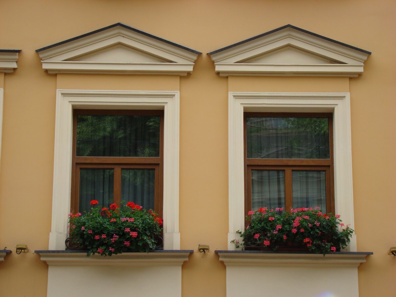 Sony DSC-H9 sample photo. Window, geranium, house photography