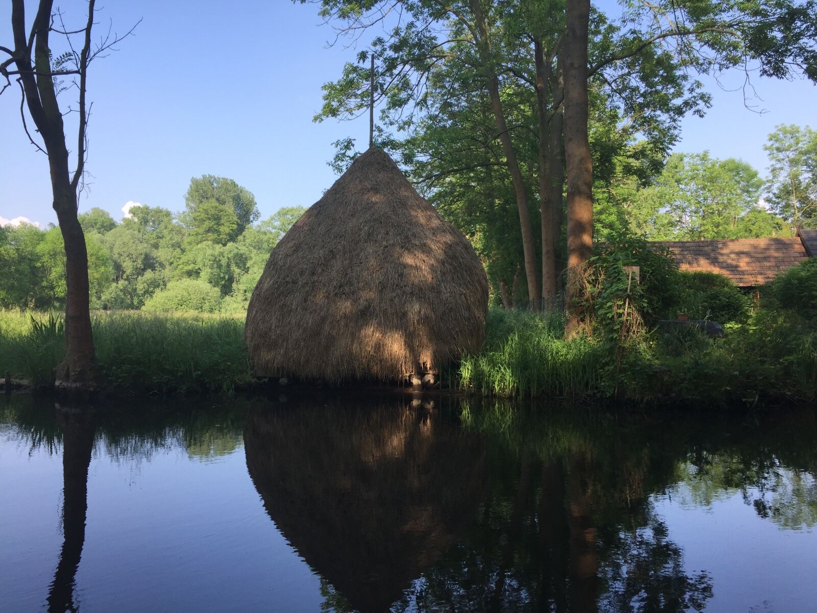 iPhone 6 Plus back camera 4.15mm f/2.2 sample photo. Mirror, nature, lake photography