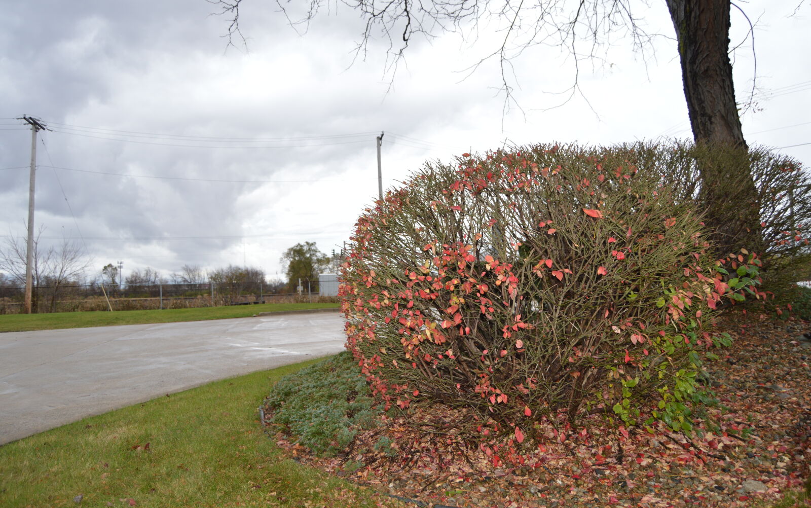 Nikon D3200 sample photo