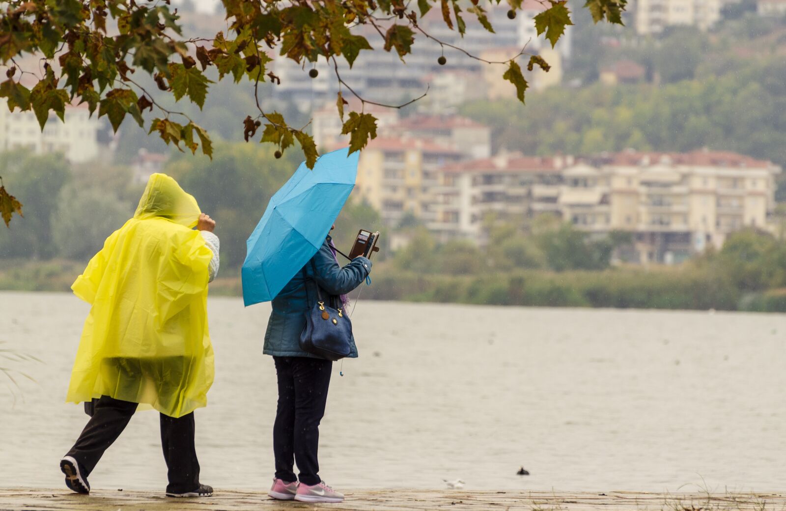 Nikon D7000 sample photo. Rain, people, umbrella photography