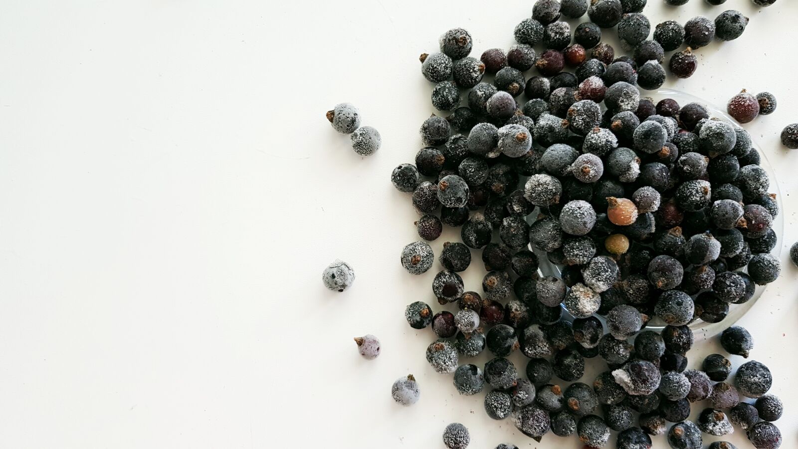 Samsung Galaxy S8+ sample photo. Berry, currant, nutrition photography