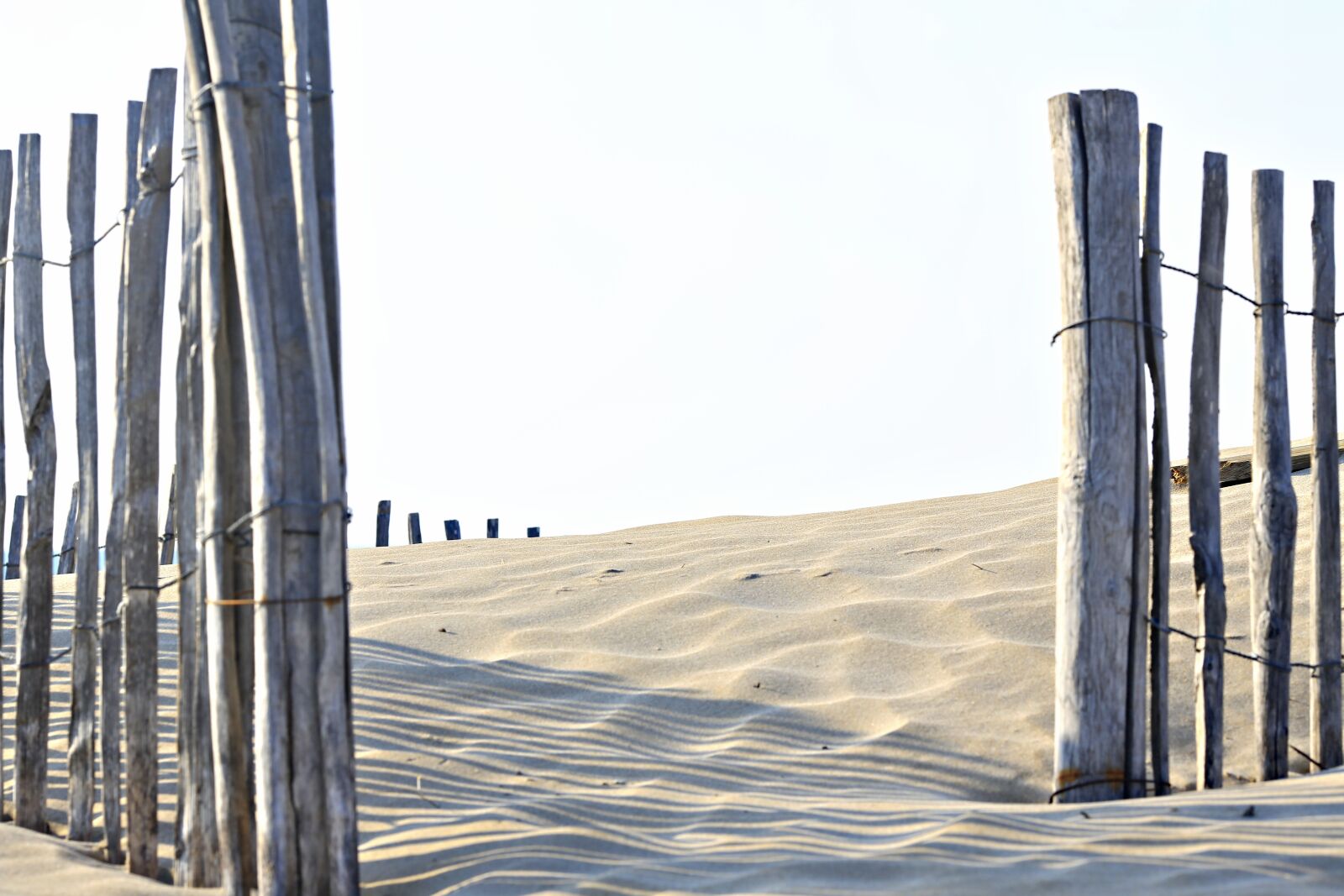 Canon EOS 5D Mark III sample photo. Beach, sand, closing photography