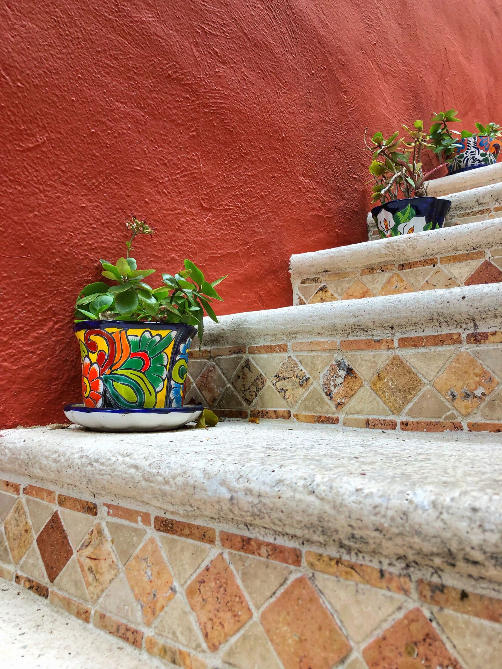 Apple iPhone 8 Plus sample photo. Stairs, terracotta, plants photography