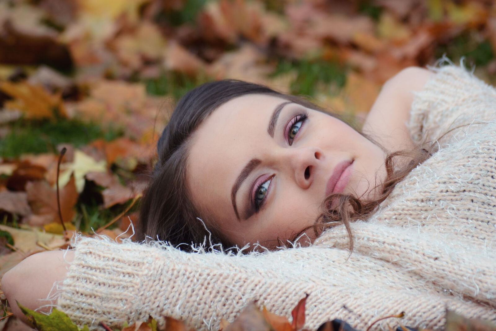 Nikon D3100 sample photo. Attractive, autumn, autumn, park photography