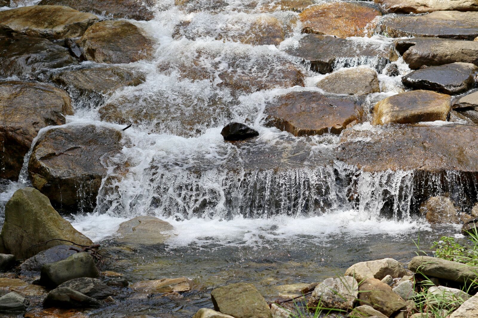 Canon EOS 7D Mark II sample photo. Nature, forest, the creek photography