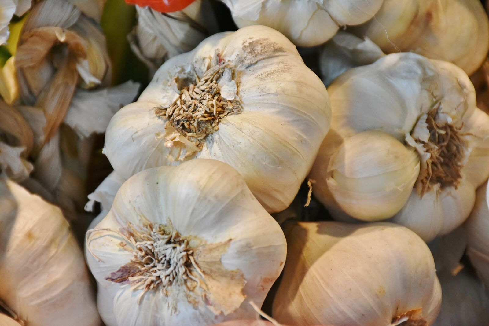 Nikon D7200 sample photo. Garlic, food, vegetables photography