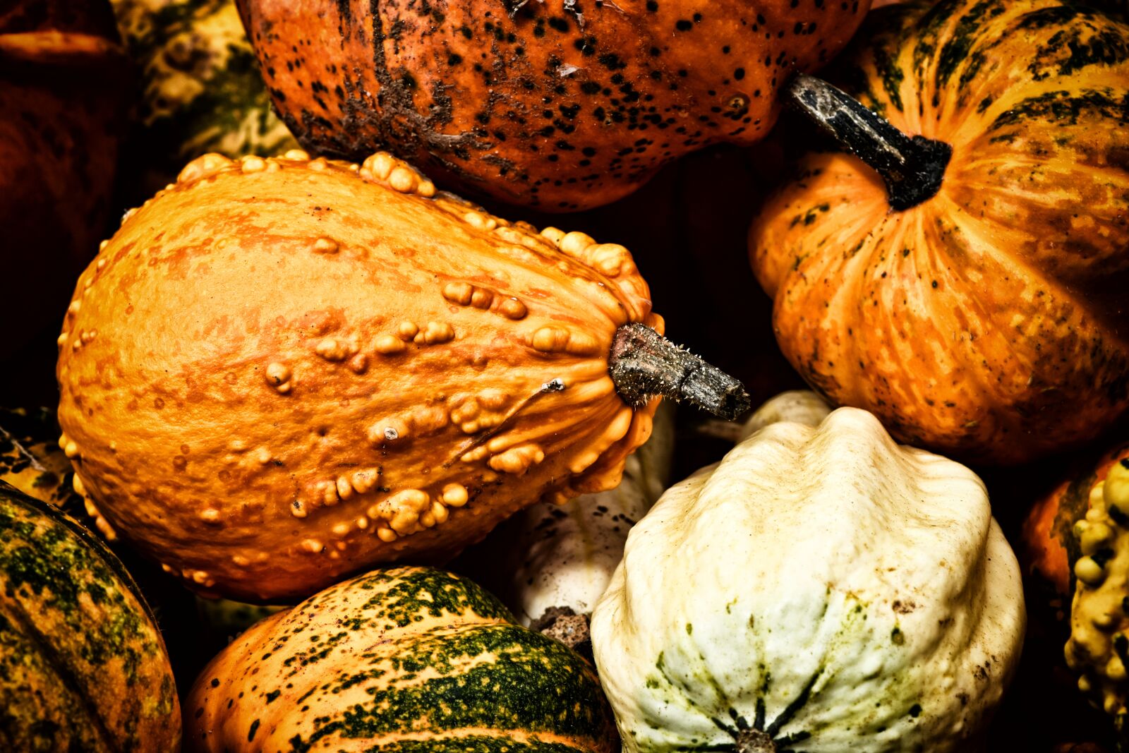 Nikon D7200 sample photo. Pumpkins, autumn, decoration photography