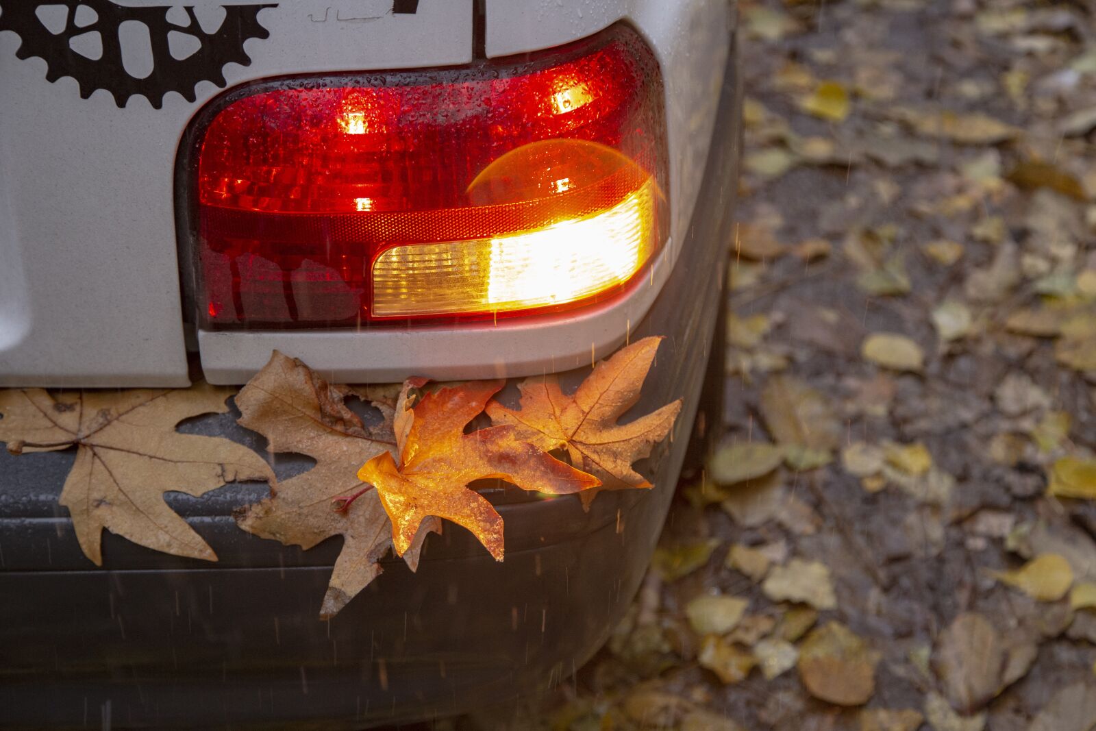 Canon EOS 6D + Canon EF 24-105mm F4L IS USM sample photo. Fall, autumn, nature photography