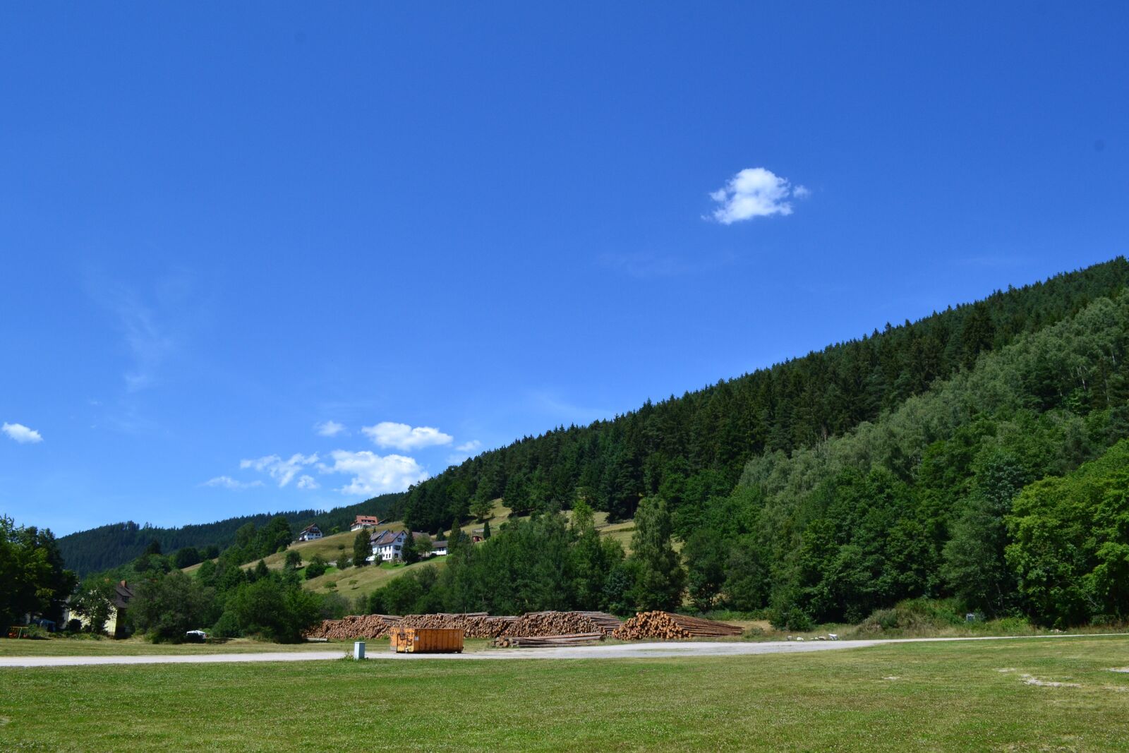 Nikon D3100 sample photo. Summer holiday, black forest photography
