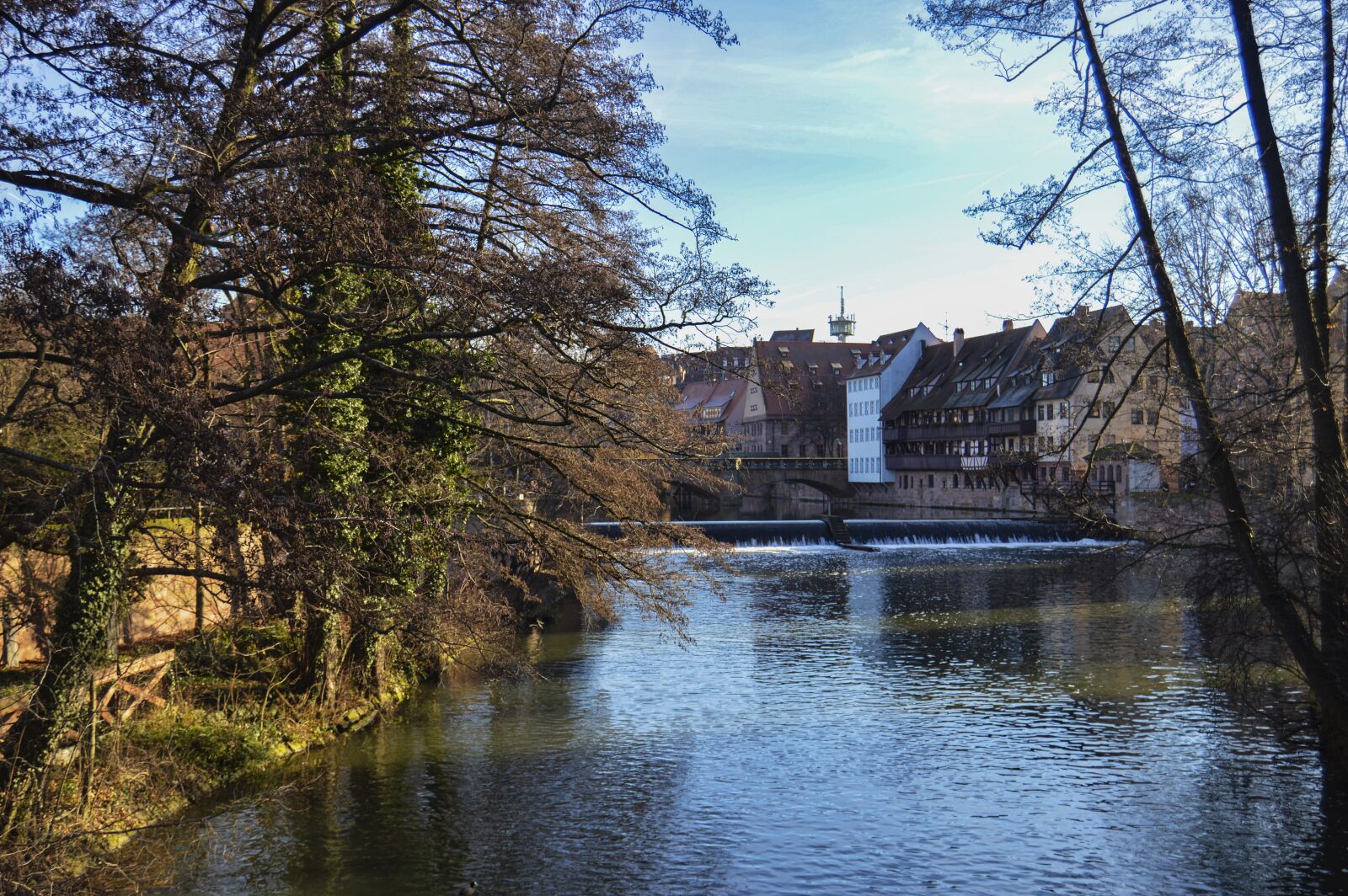 Nikon D3200 sample photo. Park, walk, home photography
