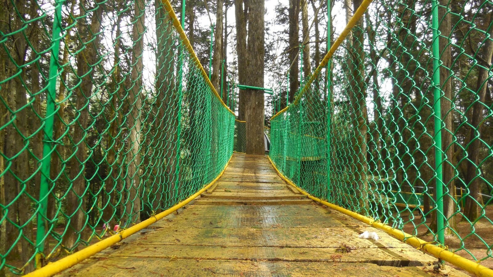 Nikon Coolpix S6400 sample photo. Forest, bridge, hanging photography