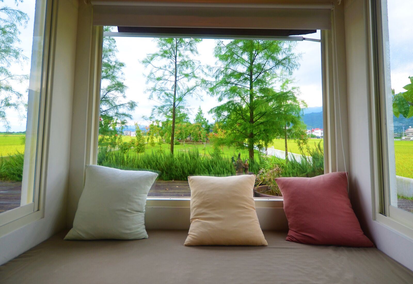 Nikon D5100 sample photo. Windows, ilan, in rice photography