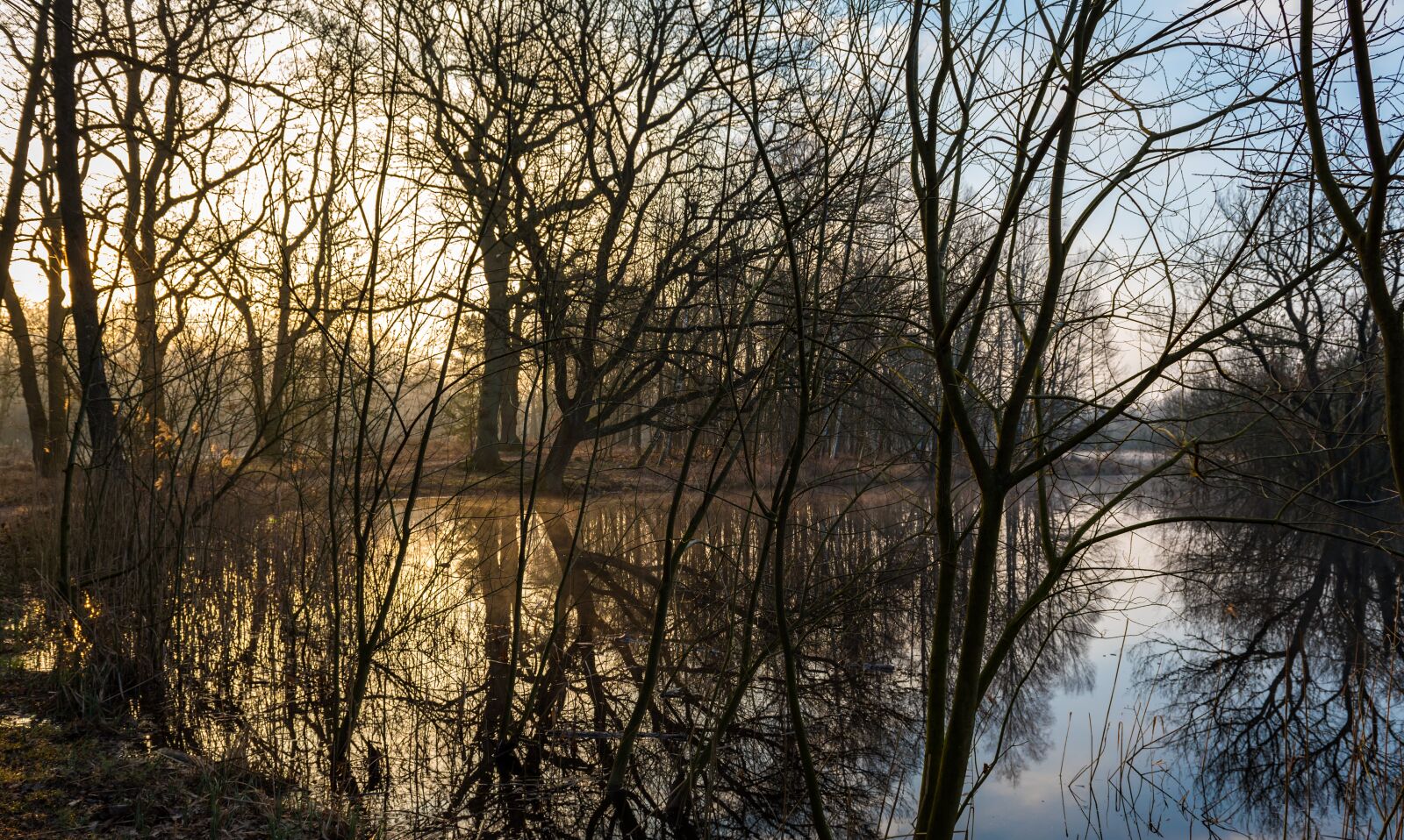 Nikon D750 sample photo. Wintry, lake, lighting photography