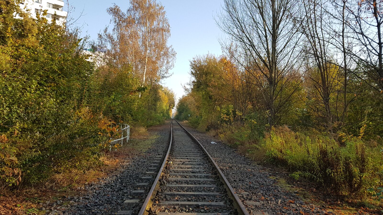 Samsung Galaxy S7 Edge sample photo. Instructions, race track, road photography