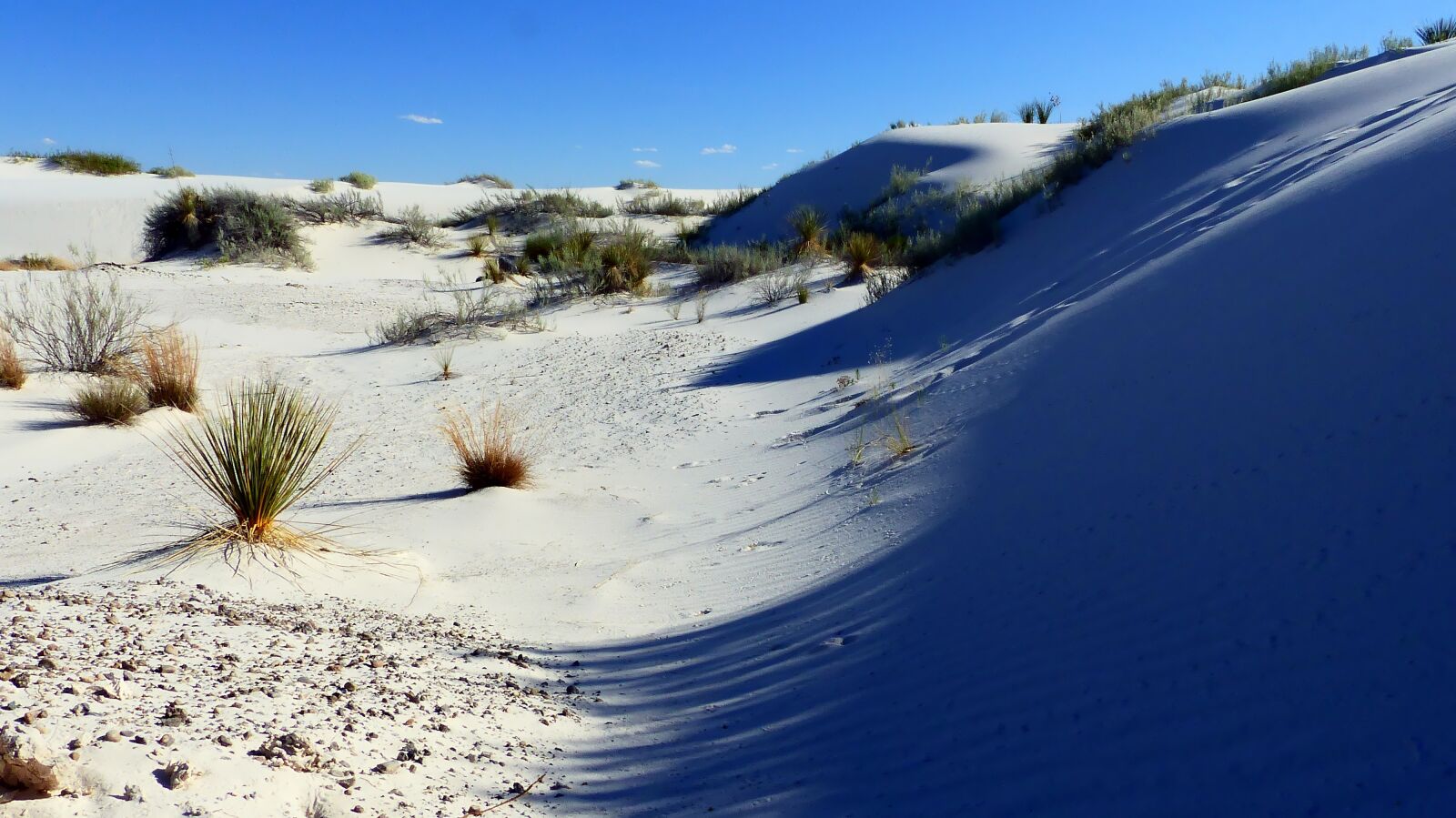 Panasonic Lumix DMC-FZ200 sample photo. Desert, sands, dunes photography