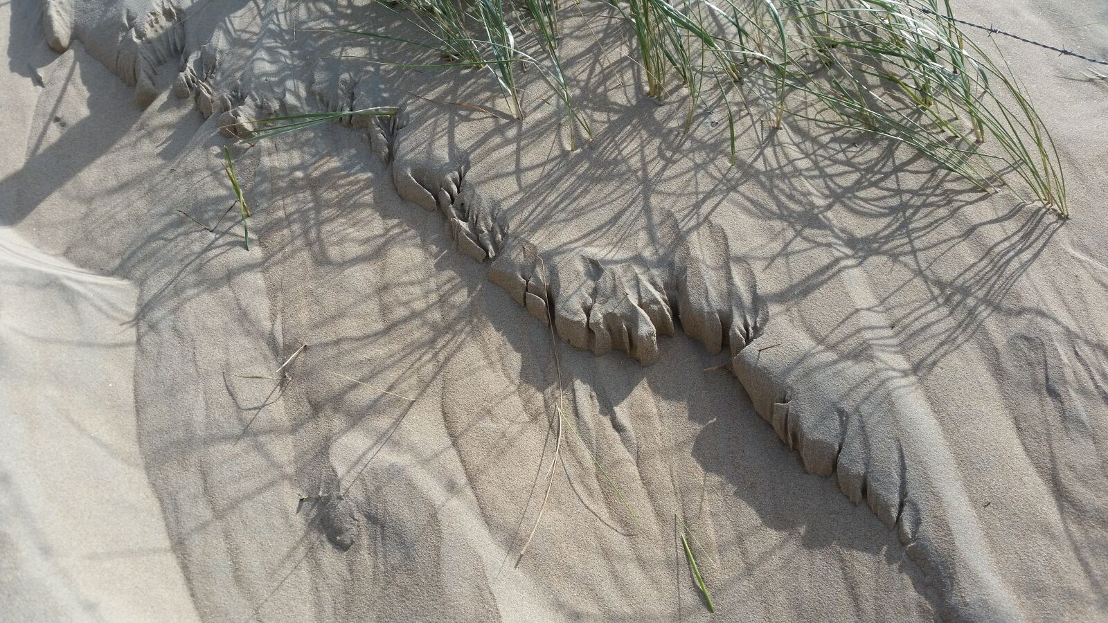 Samsung Galaxy S5 sample photo. Dunes, sand, dune grass photography