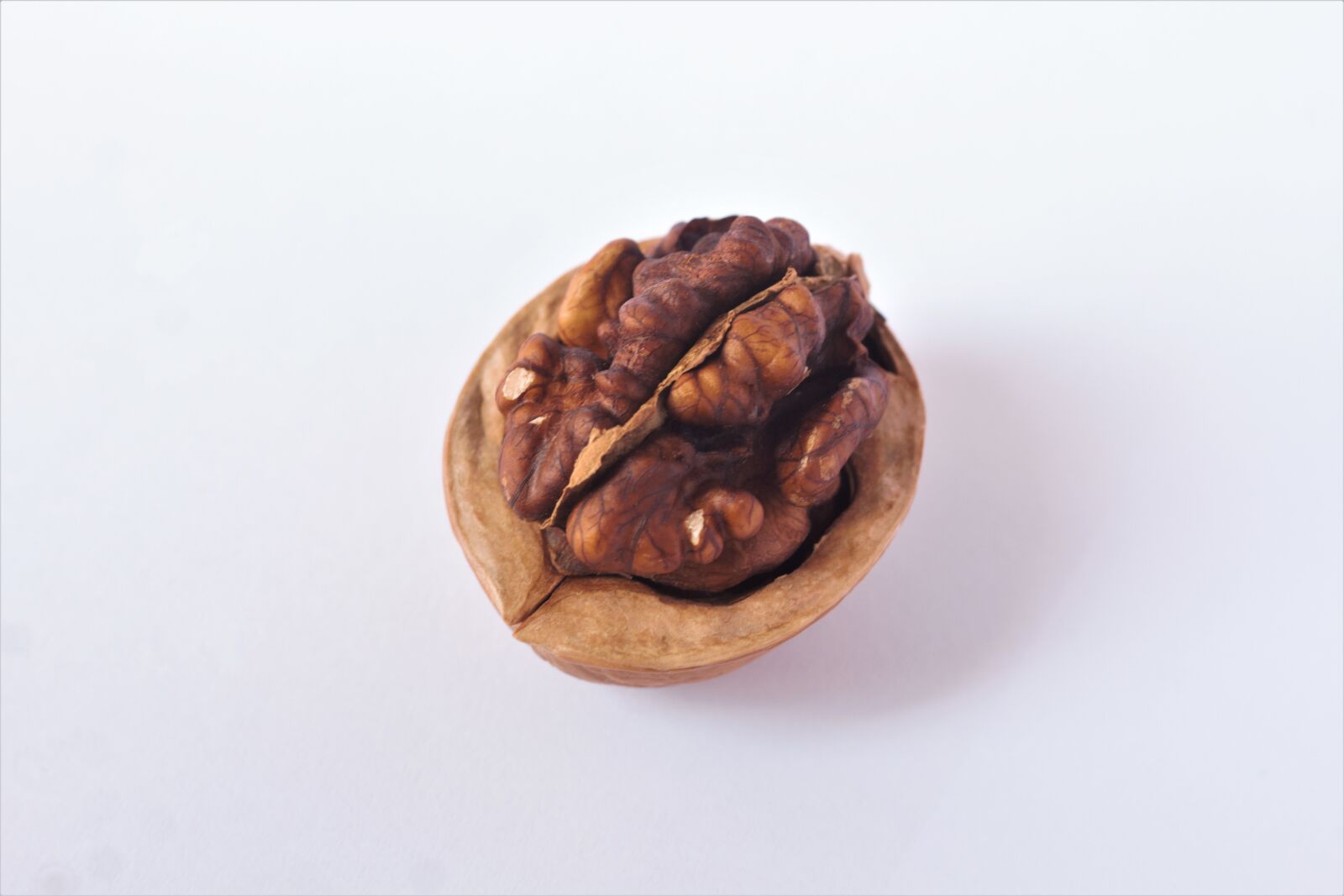 Canon EOS 550D (EOS Rebel T2i / EOS Kiss X4) sample photo. Walnuts, brown, shell photography