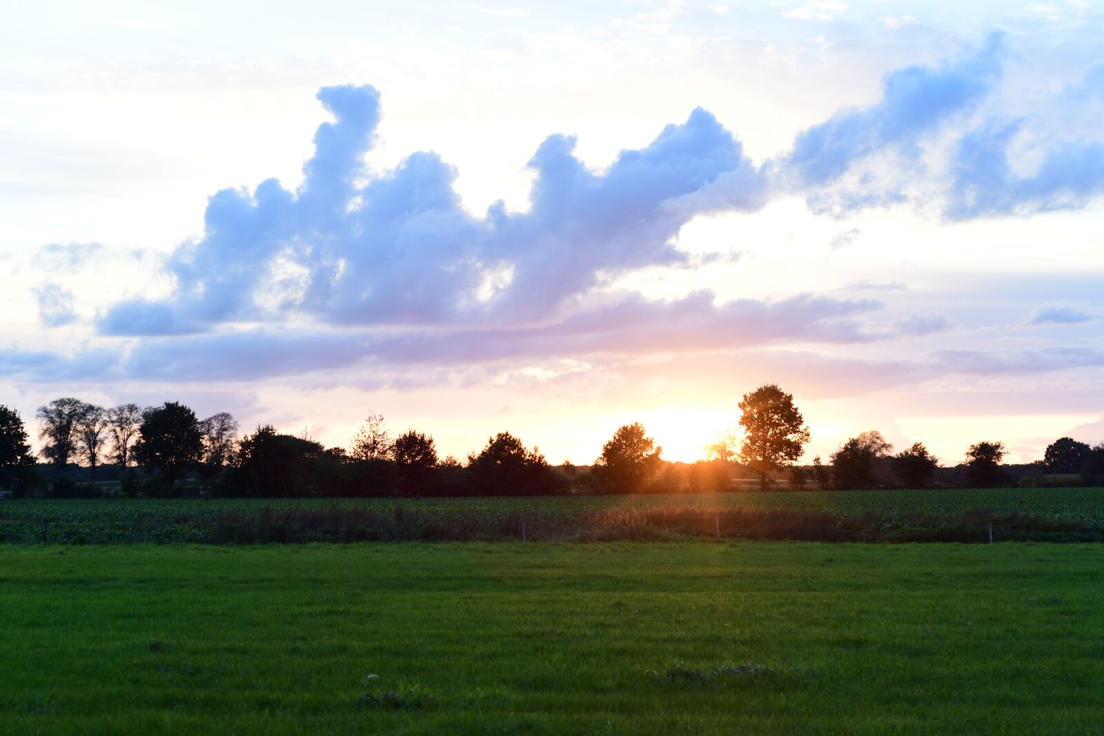 Nikon D500 sample photo. Light, sunset, evening photography