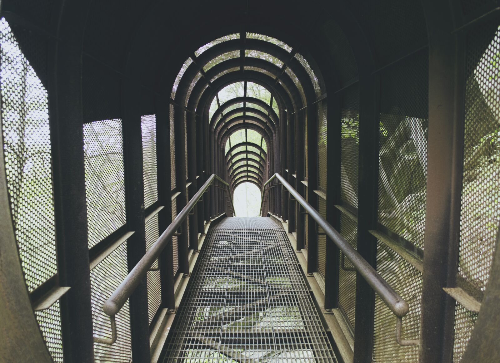 Nikon D3200 sample photo. Park, adventure, nature photography