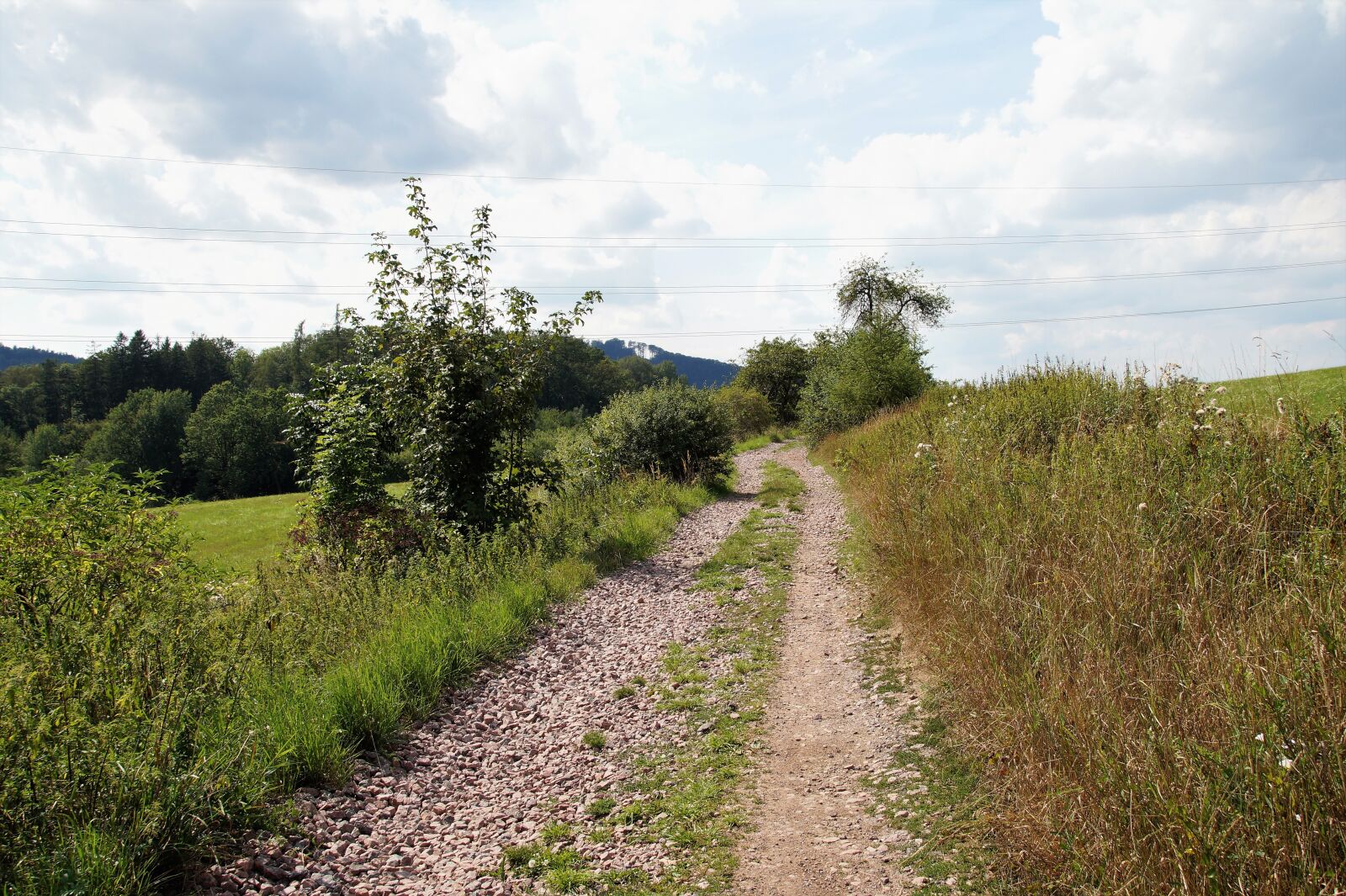 Sony SLT-A58 sample photo. Path, field, dusty photography
