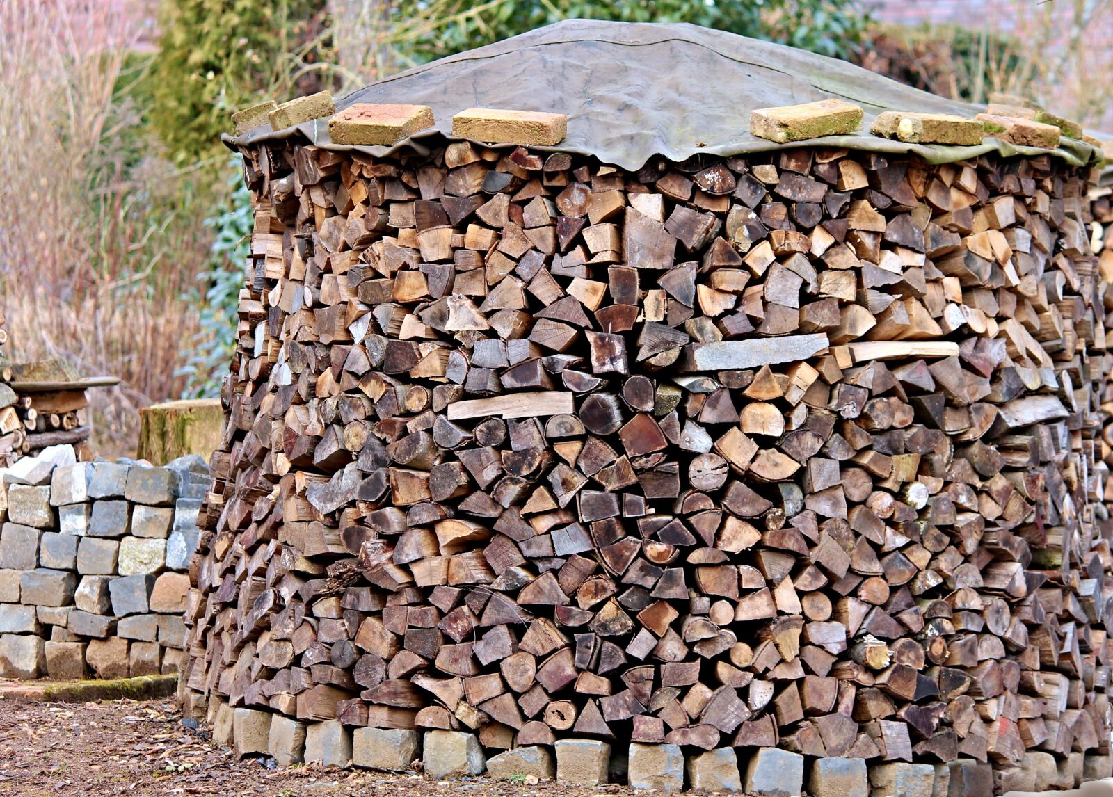 Canon EOS 1100D (EOS Rebel T3 / EOS Kiss X50) sample photo. Firewood, holzstapel, wood photography